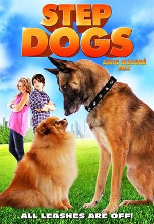 stepdogs.jpeg