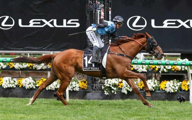 Melbourne Cup