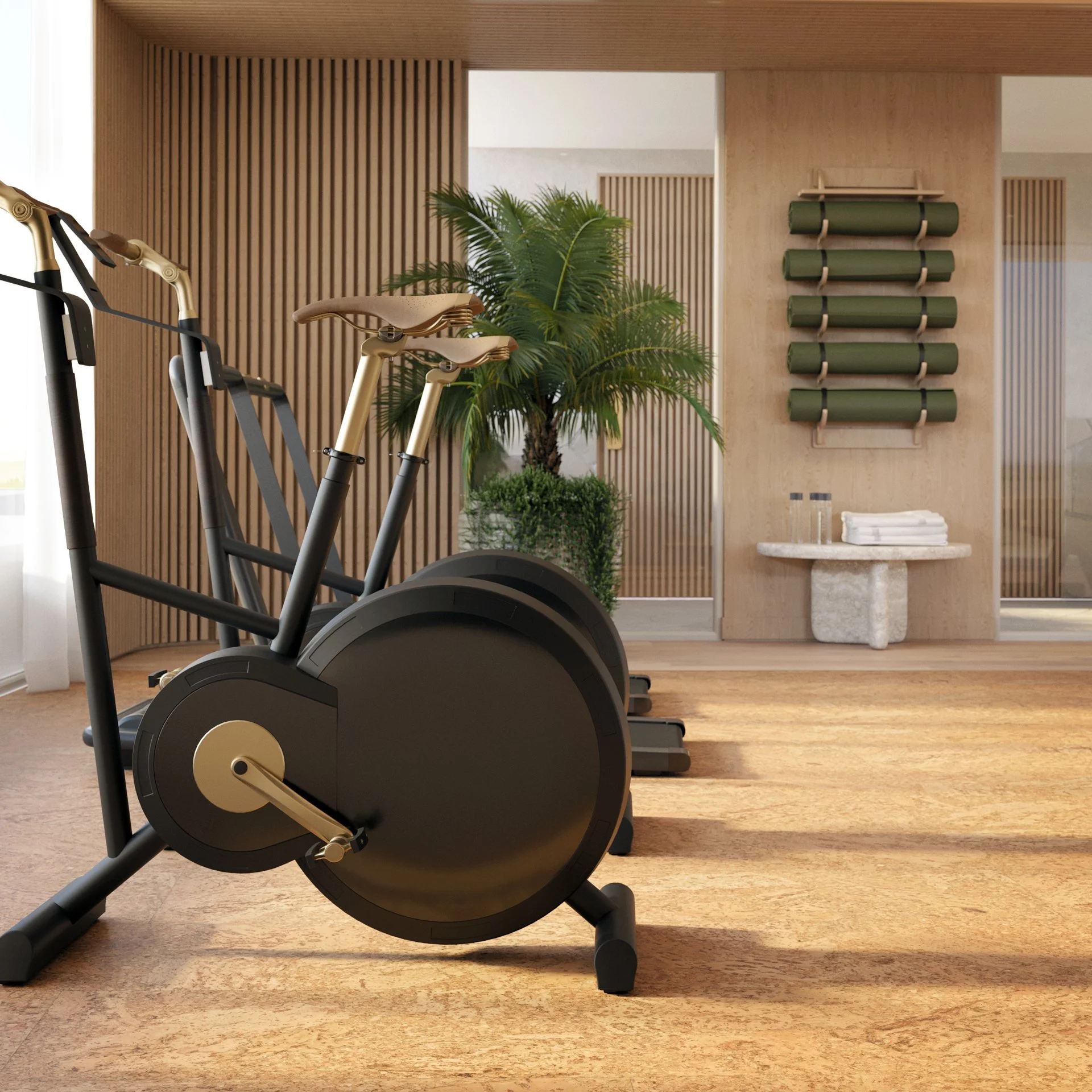 Vignette-Gym-Vignette-Web.jpg