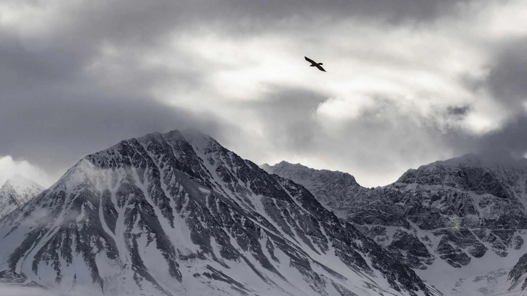 Common Raven over Kluane_Liron Gertsman.jpg