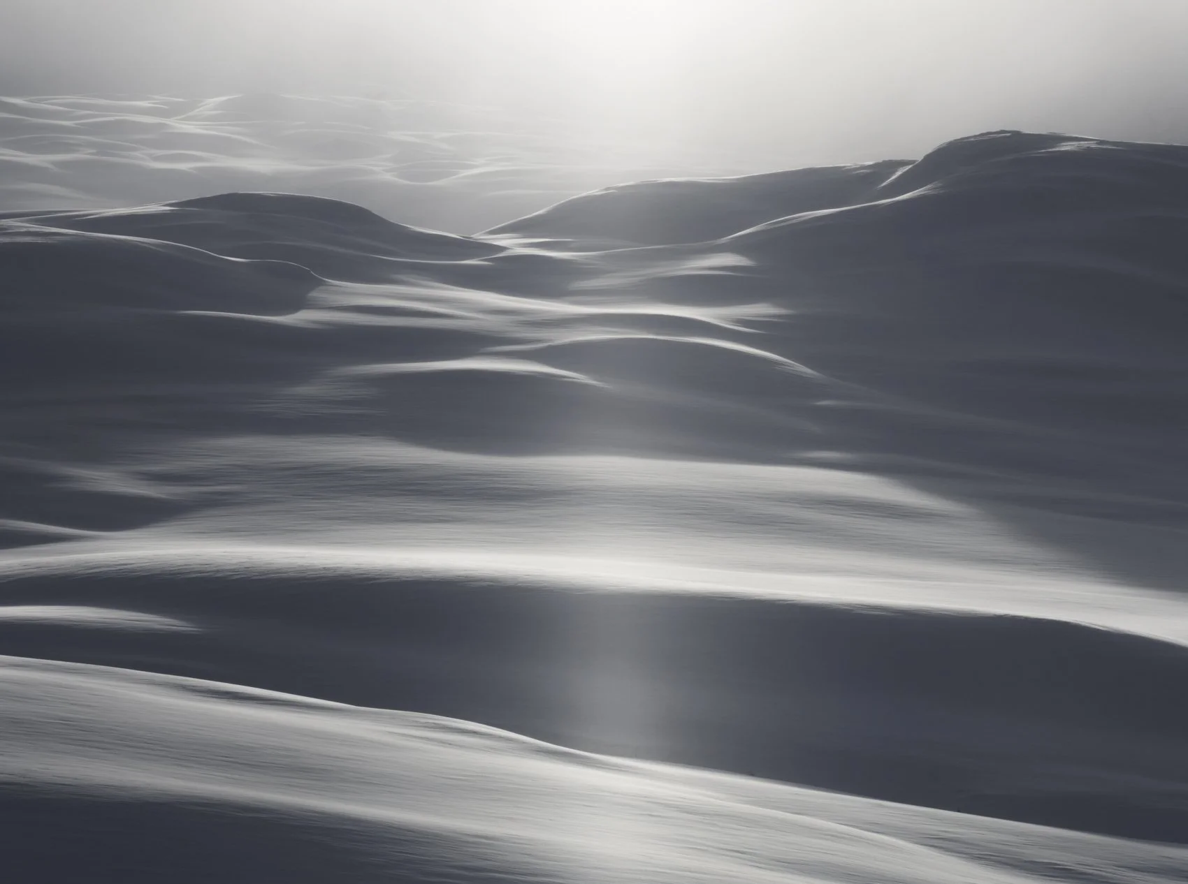 winter landscape_Liron Gertsman (2).jpg