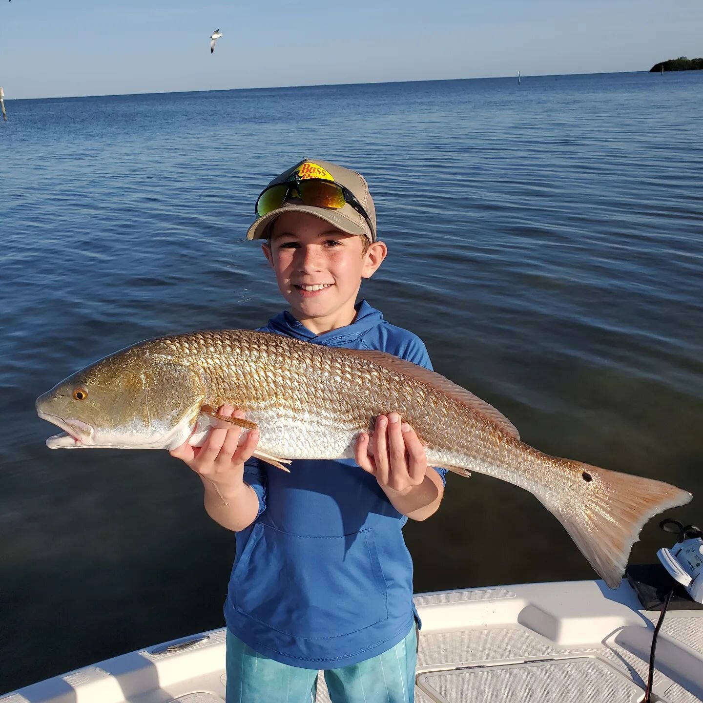Carltons smile on his face and the natural reaction you get from his excitement is truly what it's all about. Take a kid fishing!
www.storymakerfishingcharters.com 
813-431-9205  Come get some!

@pennfishing @simradyachting @saltlife @cca_florida @re