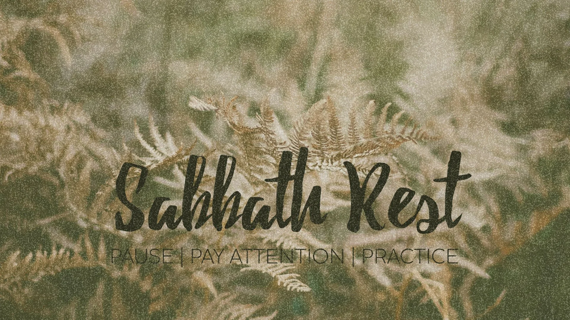 Sabbath-Rest wk02.jpg
