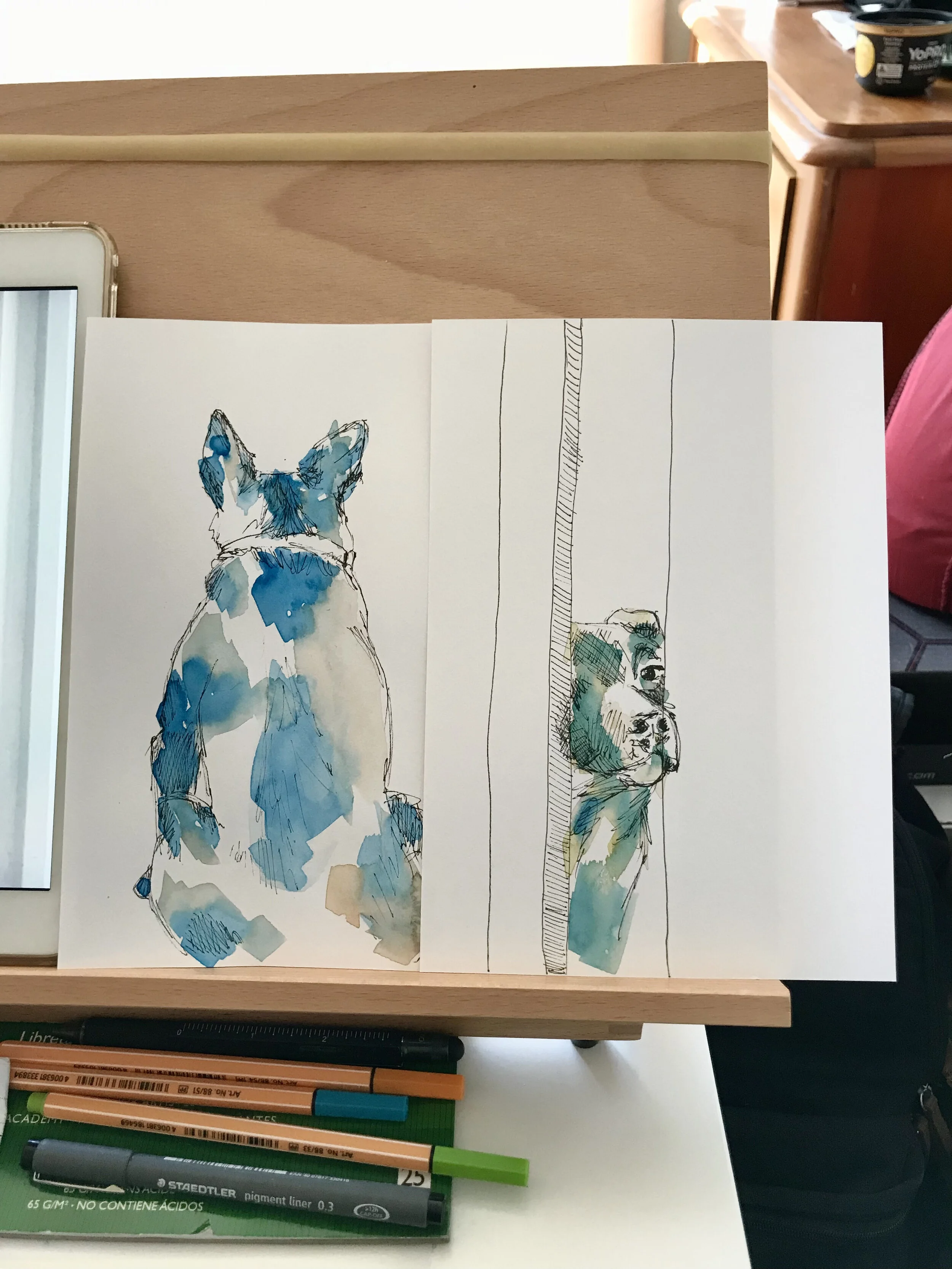 watercolour pet portraits