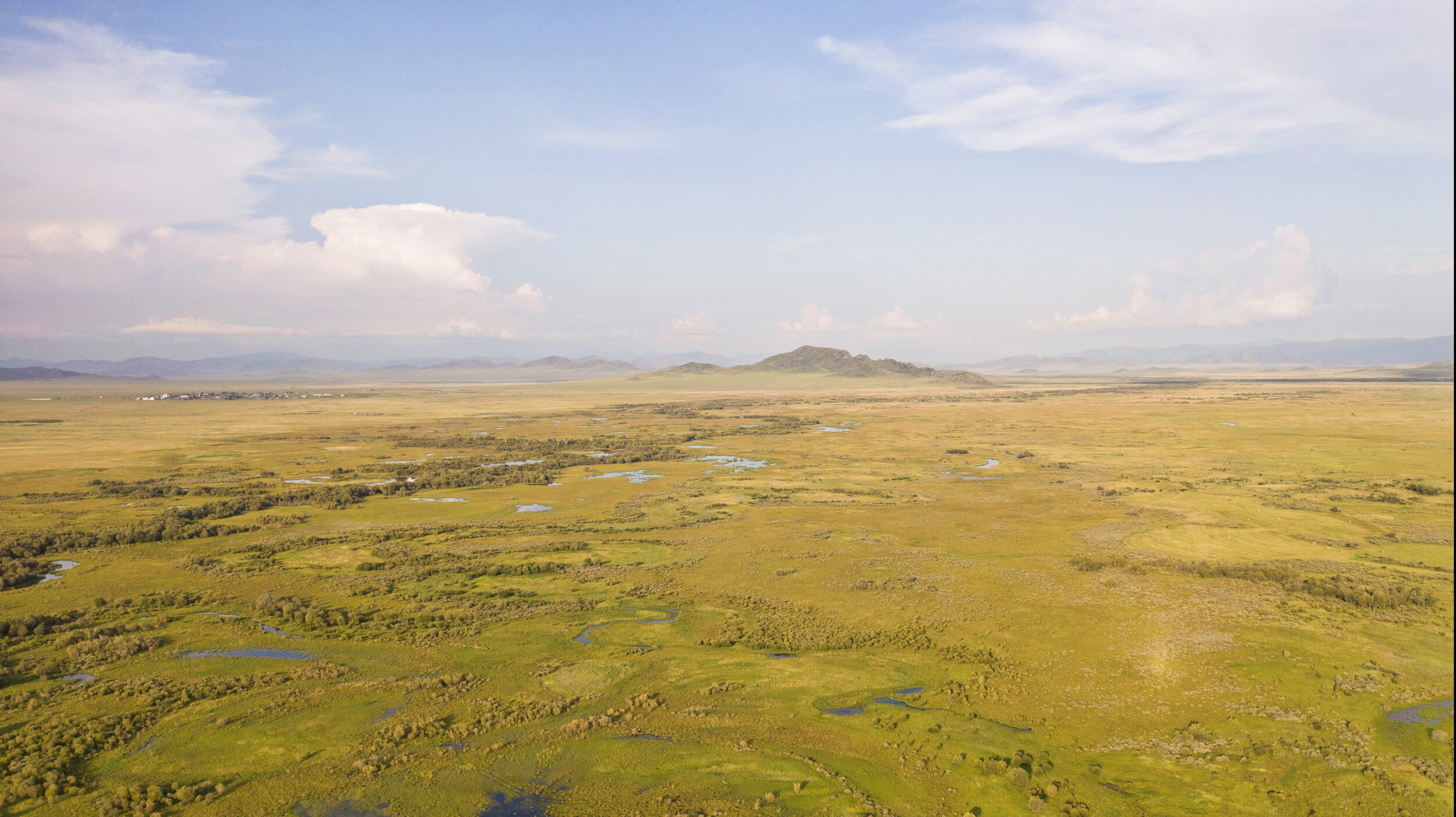 Siberian Steppes