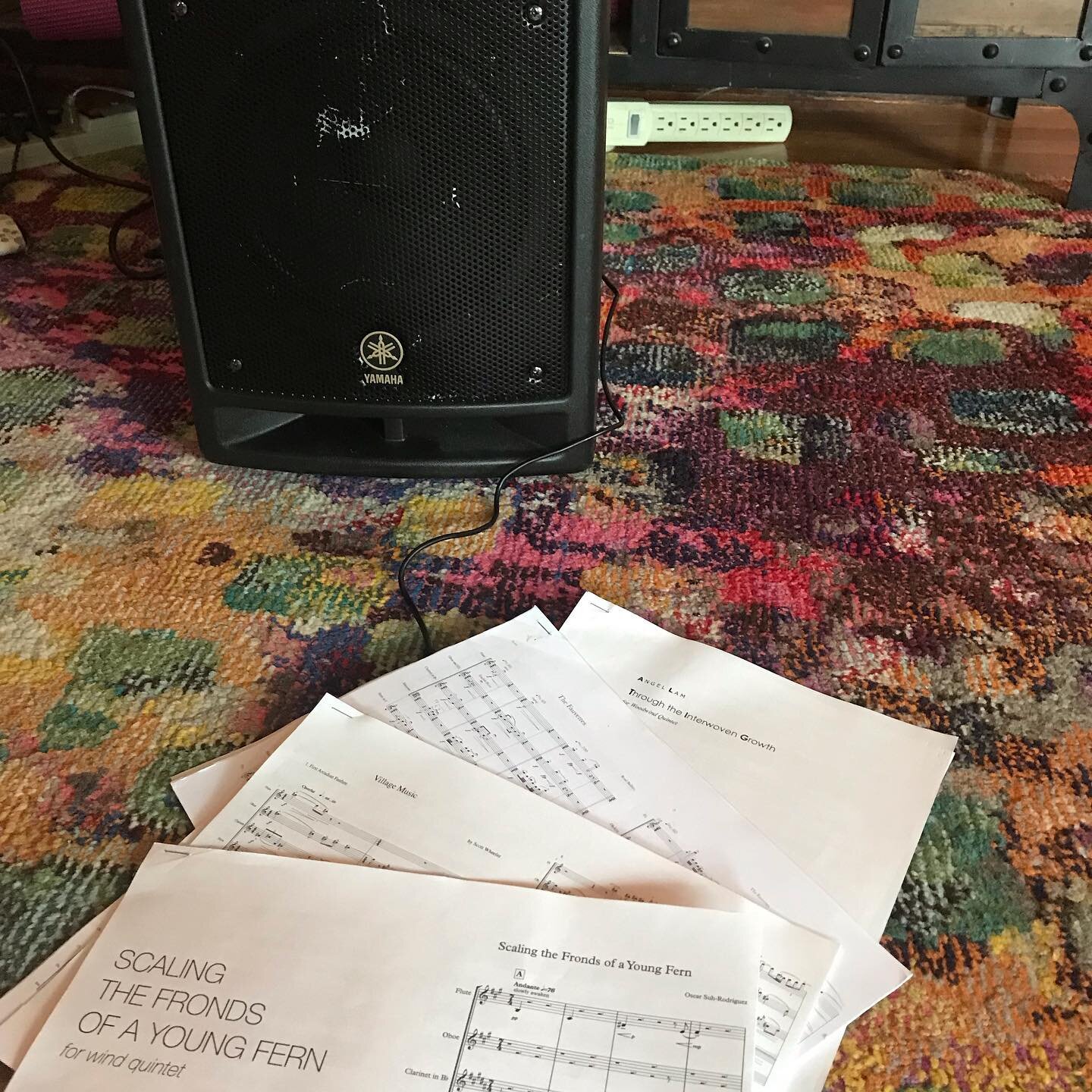 Stuart&rsquo;s Mega Metronome&trade;️ looms over the rehearsal space (aka Rane&rsquo;s living room). Hard at work putting together our program for this Sunday!

#windquintet #chambermusic #contemporaryclassicalmusic #woodwinds #woodwindquintet #flute