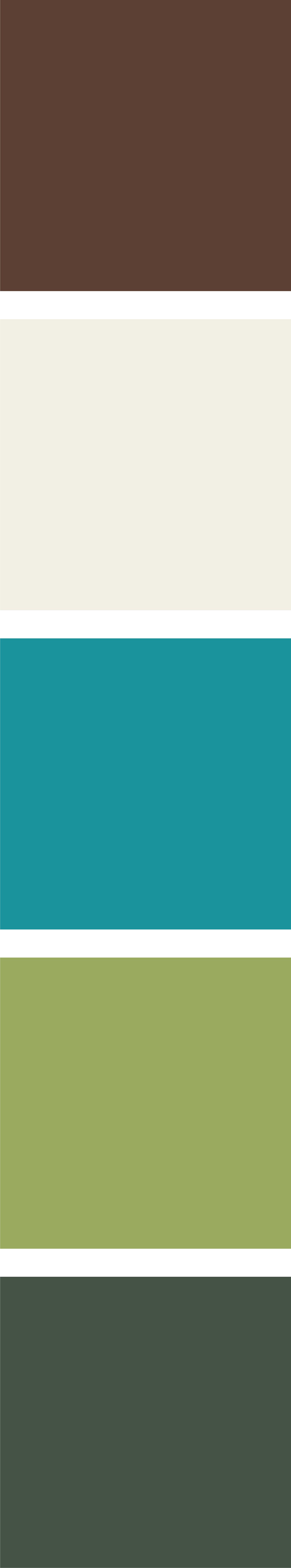 Australian Rural Maternity Association Colour Palette