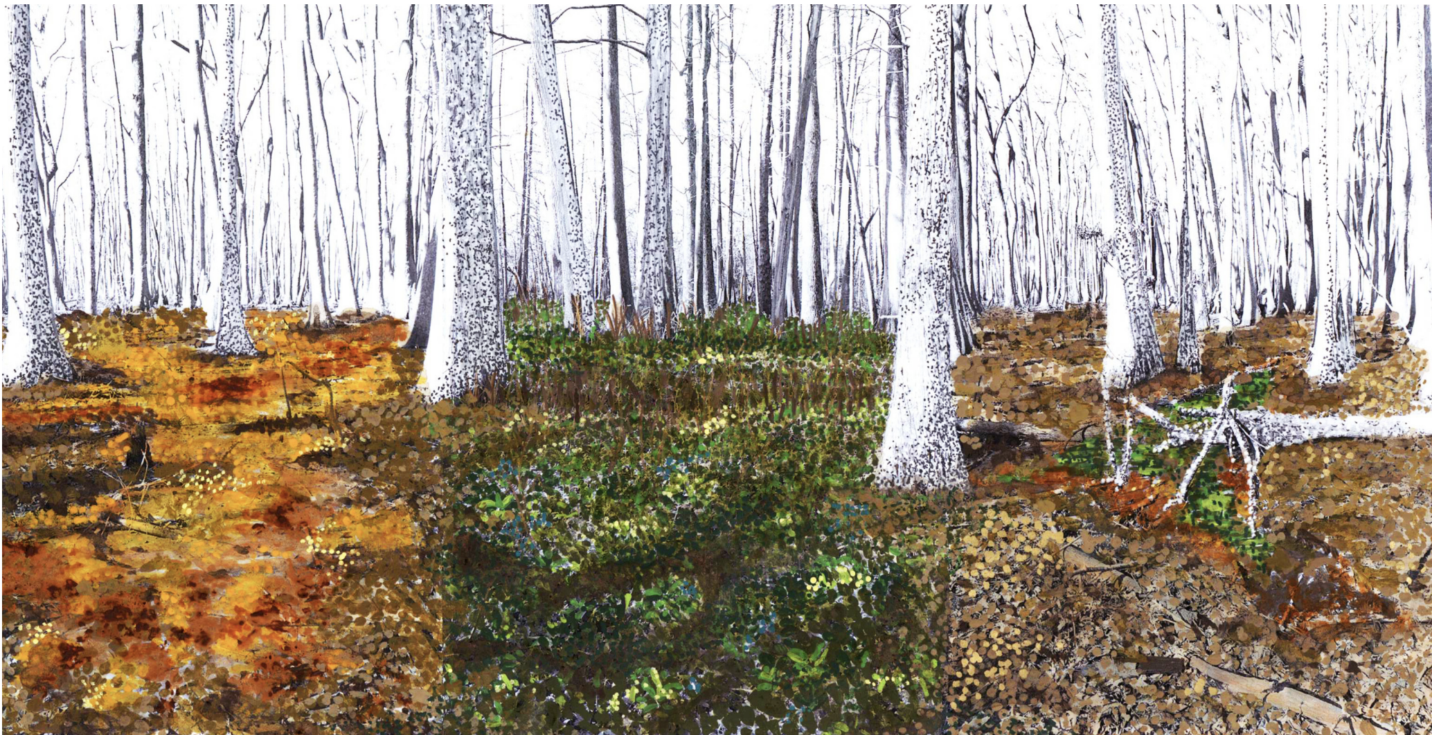 Title: "The Cypress Temple"
Artist: Romina Delgado
Medium: Photography, acrylics, markers, watercolor, coffee