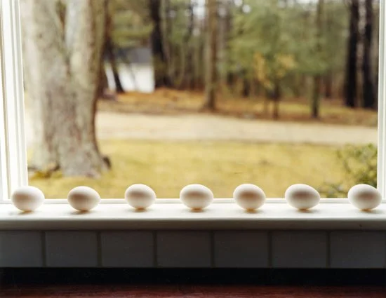 Title:  "Eggs"
Artist: Carlie Febo
Medium: Fuji Photographic color print (not framed) 