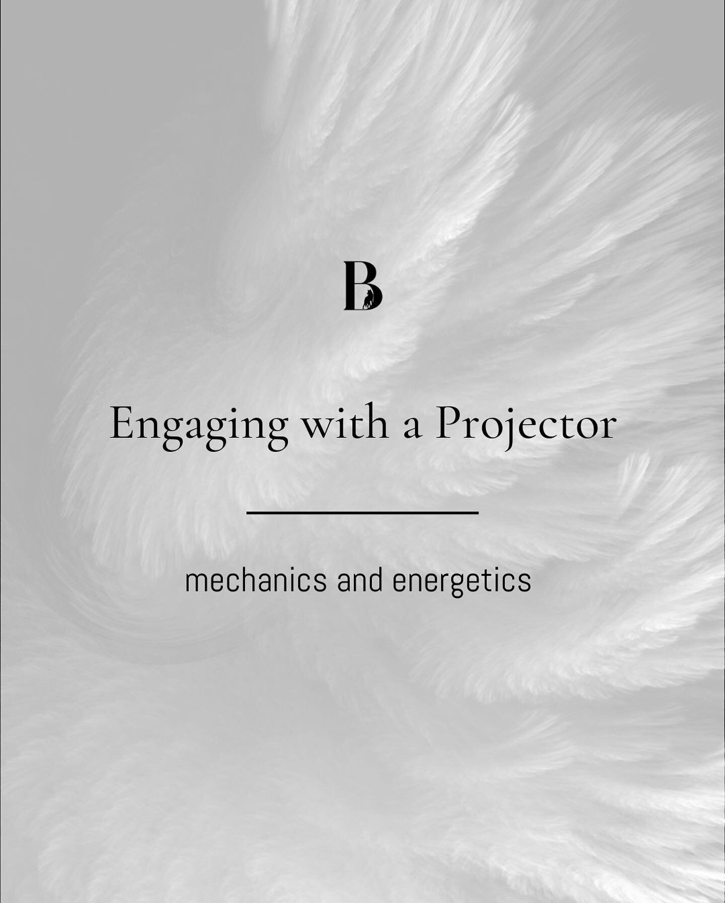 The landscape of longer term 1:1 work is shifting as projectors start living out their nature. No matter the industry or area of mastery, as a projector becomes experienced, how they engage and what they&rsquo;ll allow shifts to their mechanics.

I p