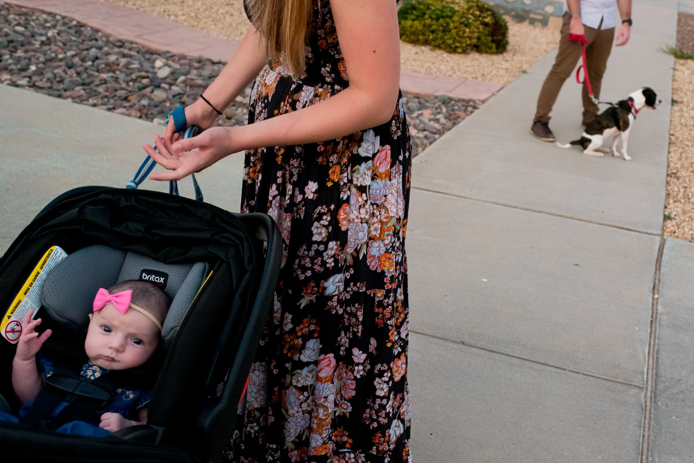 Ferris-Butz Family 2020-12.jpg