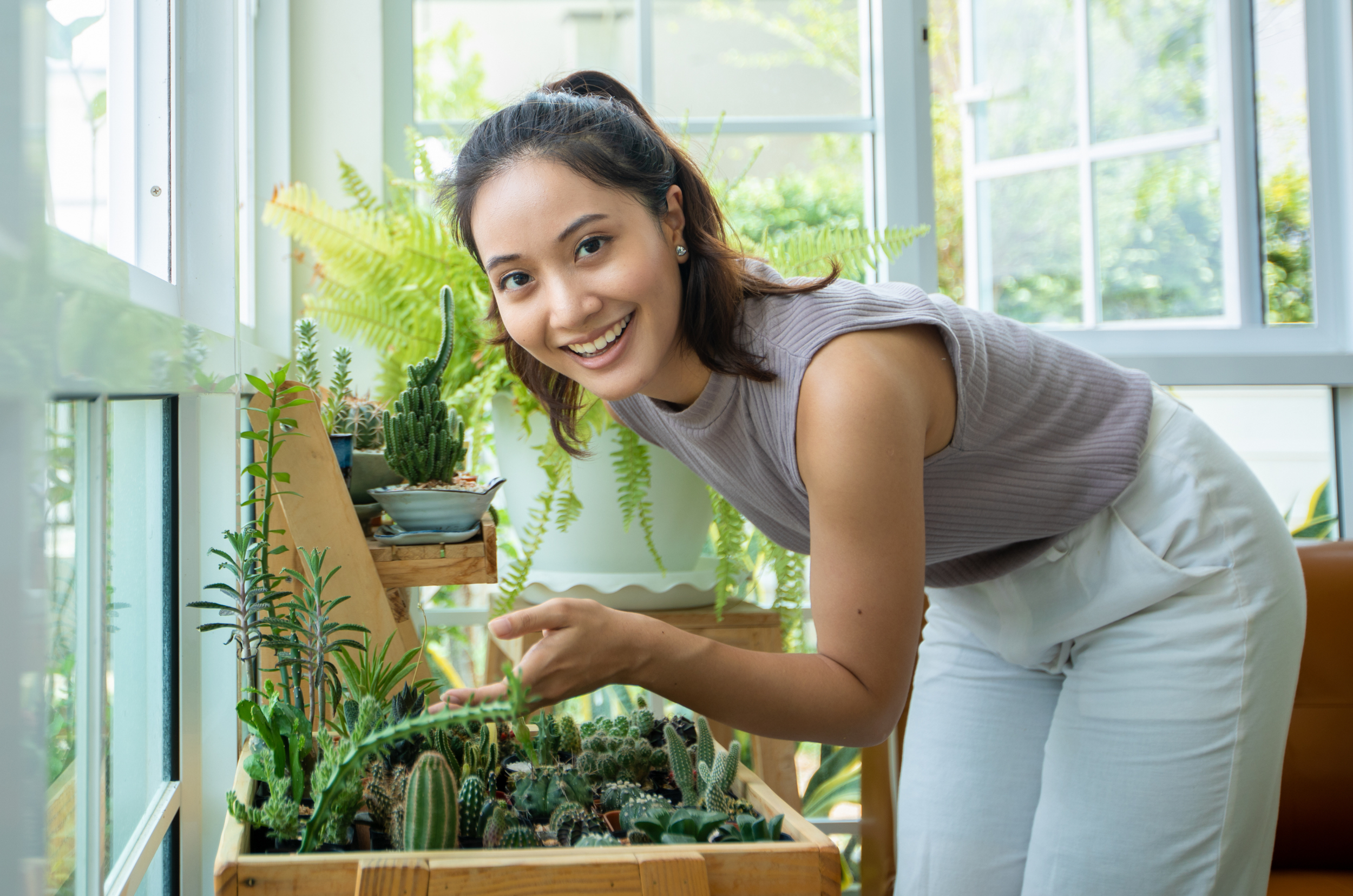 Green Therapy: How Caring for Plants Can Improve Your Mental Health