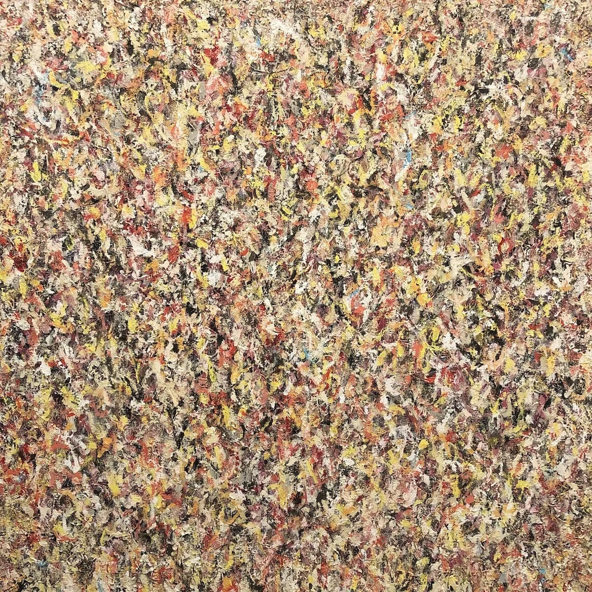  Untitled No. 124 , 2026 
Acrylic on canvas 
24 x 24 in