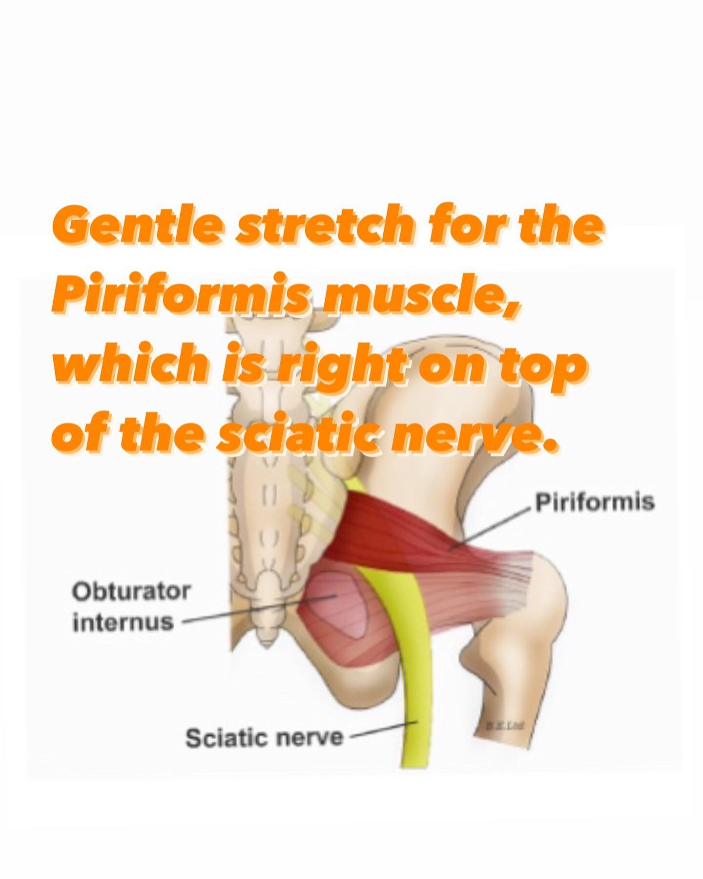Stretch the Piriformis Muscle 🧜🧜&zwj;♂️
The piriformis is a small muscle located deep in the buttock, behind the gluteus maximus. It runs right on top of the sciatic nerve, sandwiching the nerve between it and the hip bone. This gentle stretch will