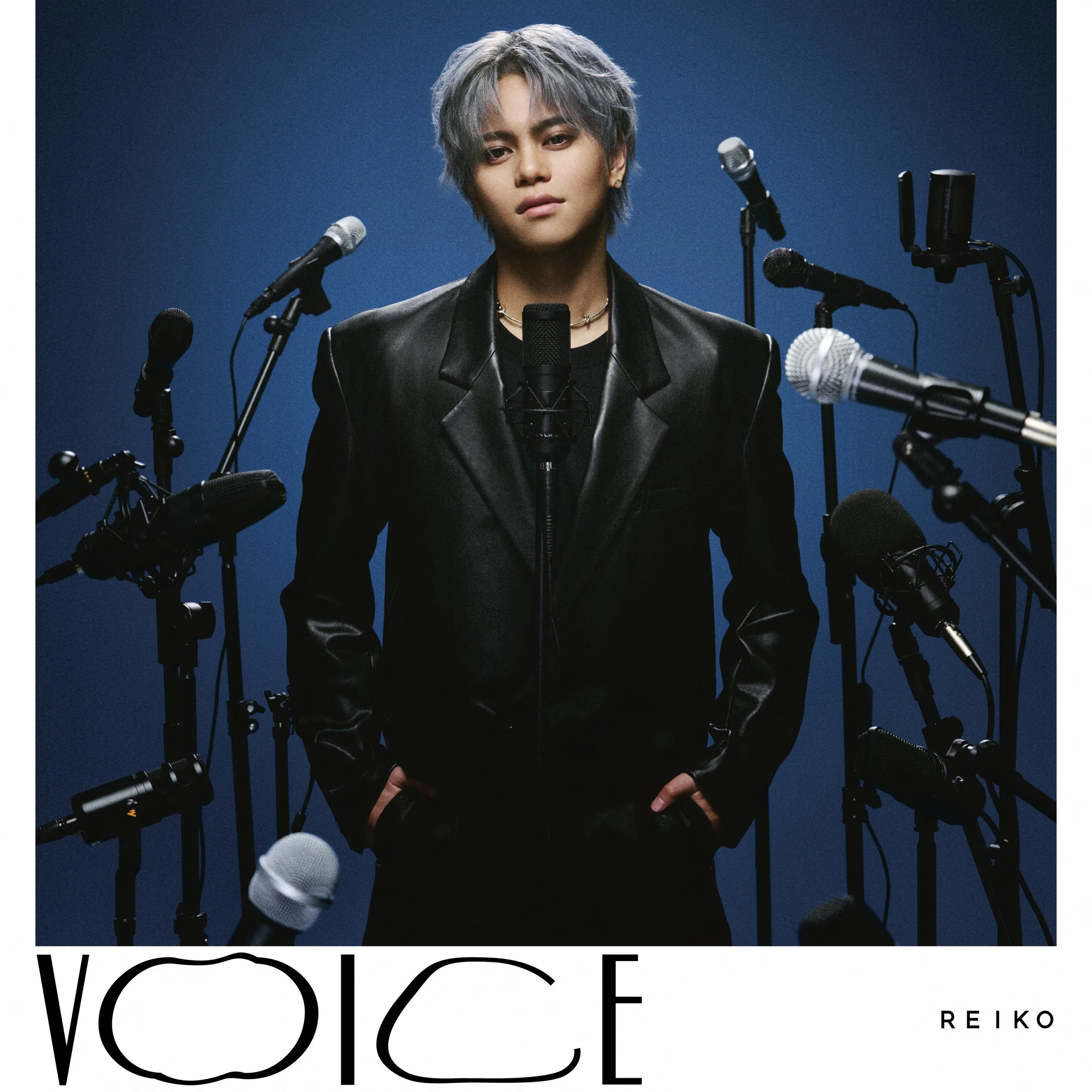 VOICE - REIKO - Producer, Co-Writer, Mixer (Track 2, 5)