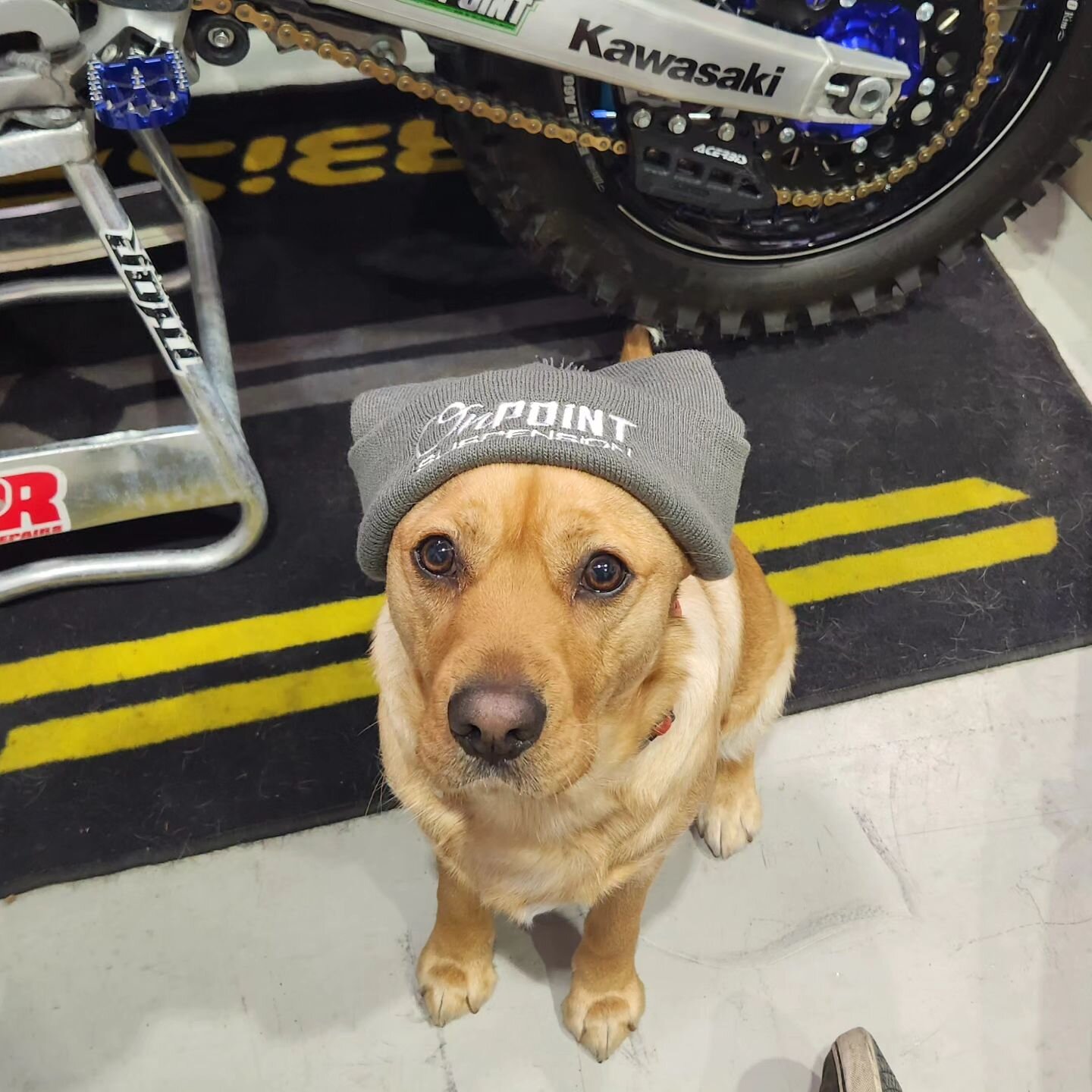 On Point Pom Pom Beanies Back in stock. 

Available in black and grey. 

** Eddie not included 

#OnPointSuspension