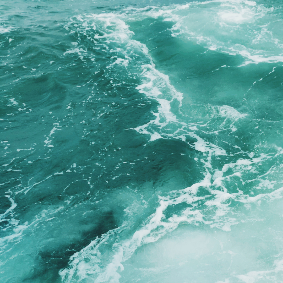 Untitled design (41).png