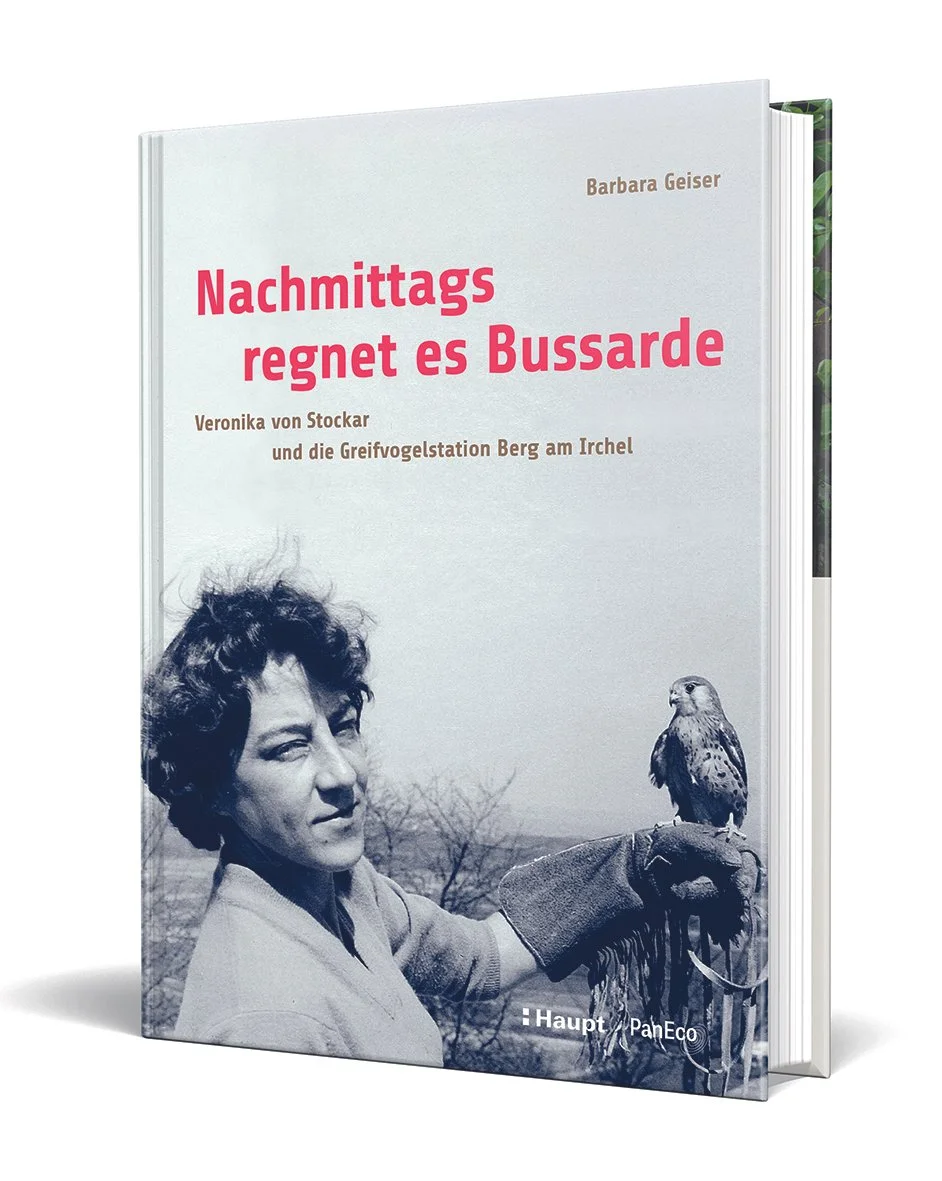 Umschlagbild von Barbara Geiser, "Nachmittags regnet es Bussarde"
