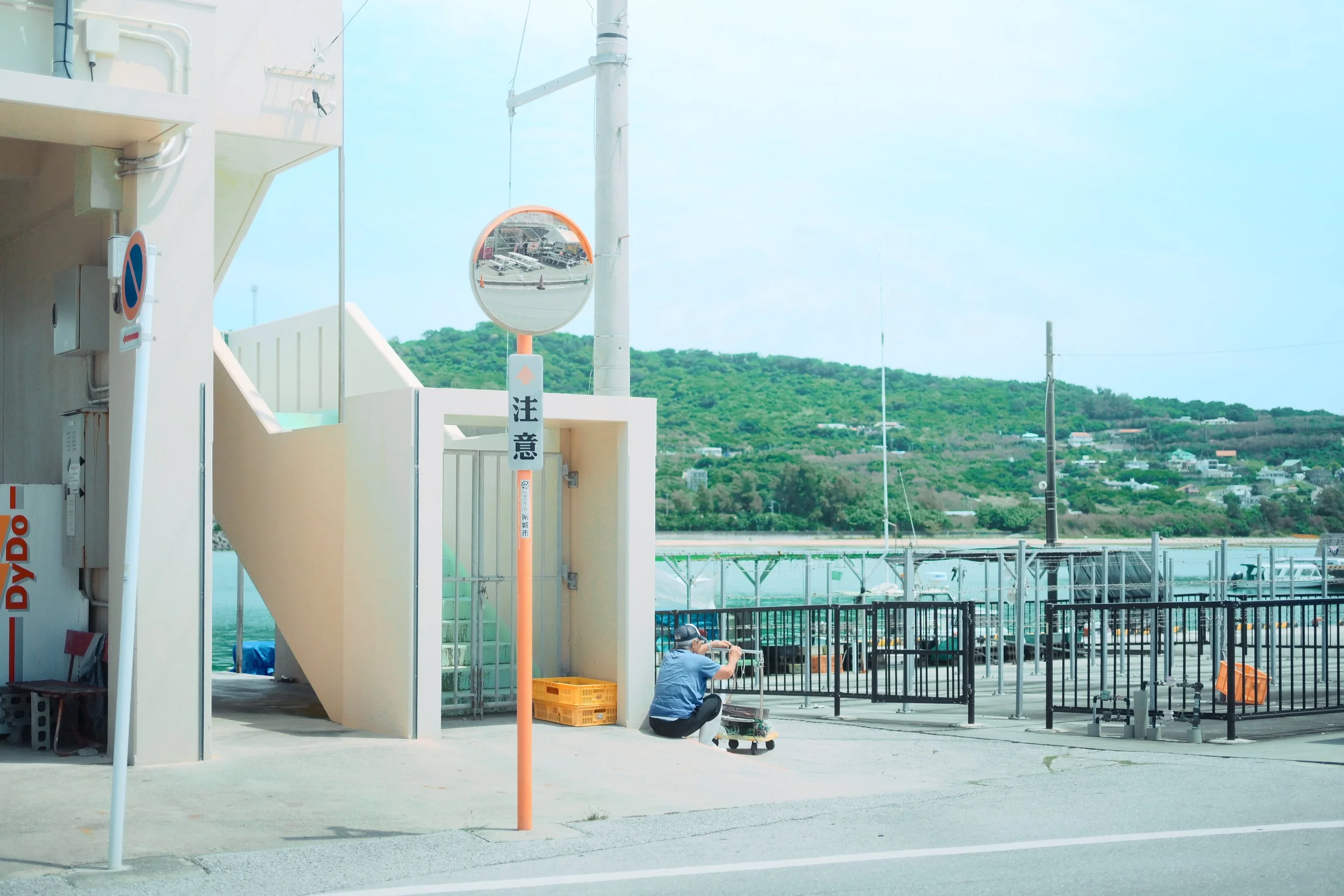 A Long Life Through Co-existence