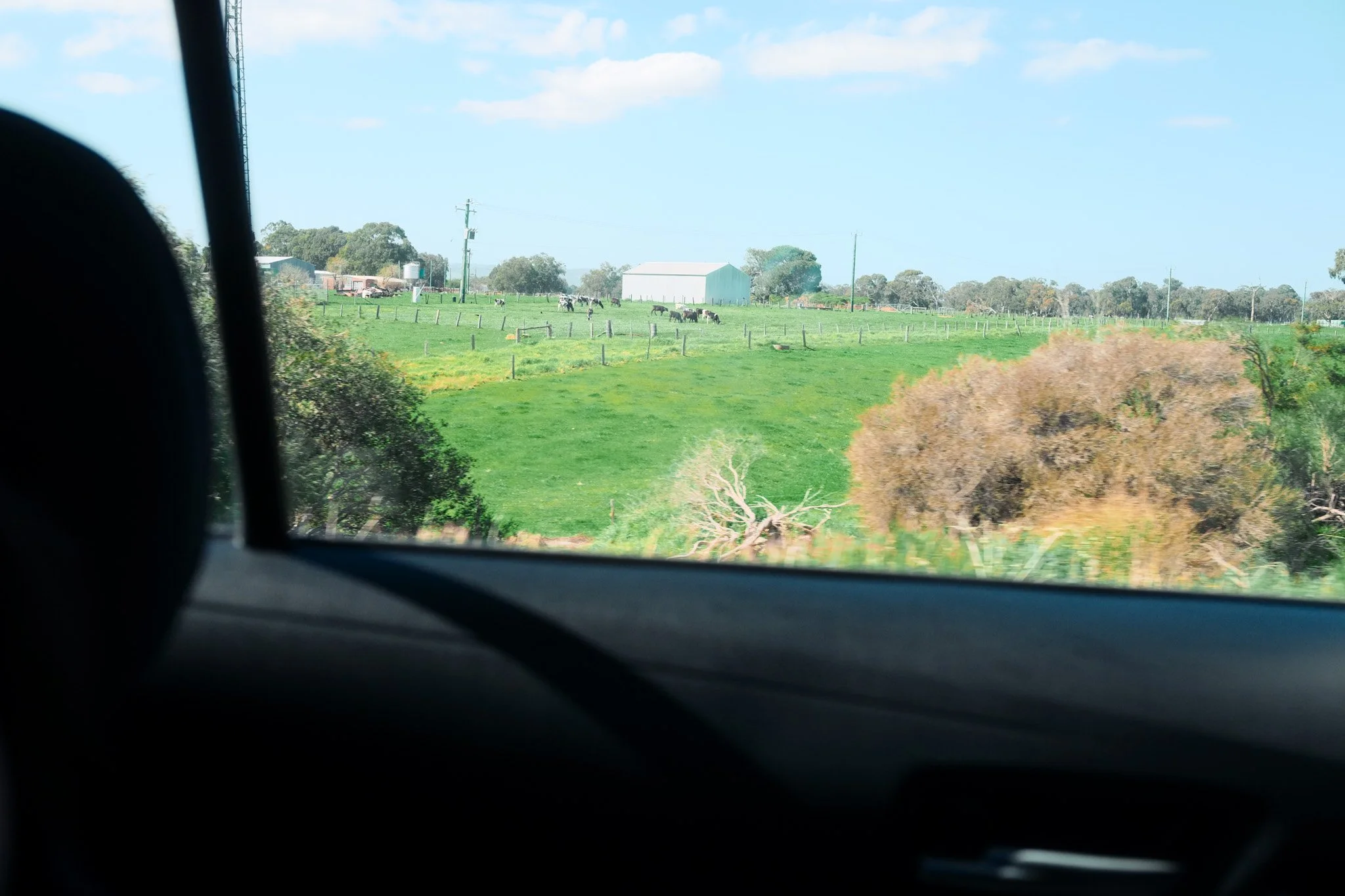 DSC_5342.JPG