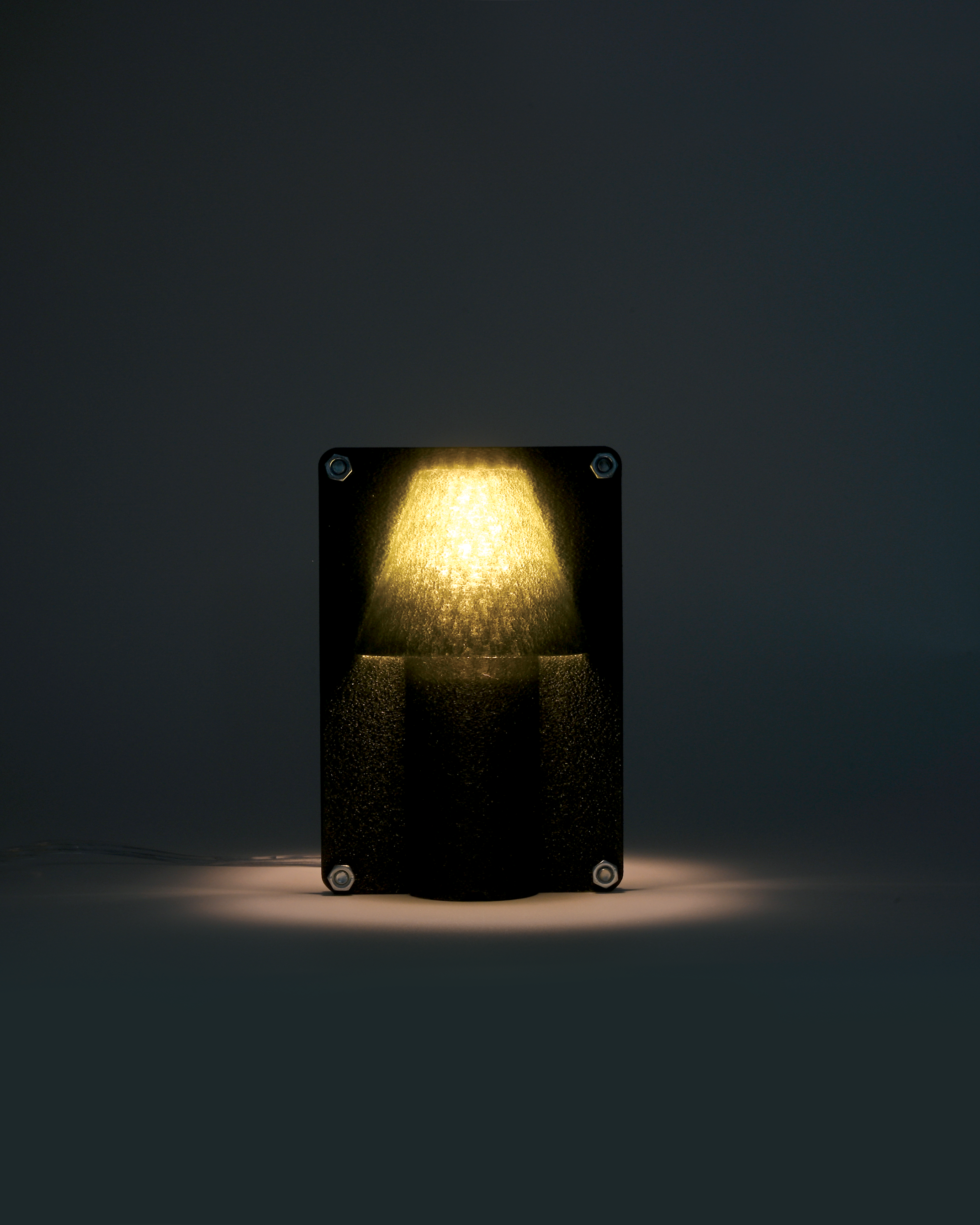 Unitlamp_Front_Moss_Lit.png