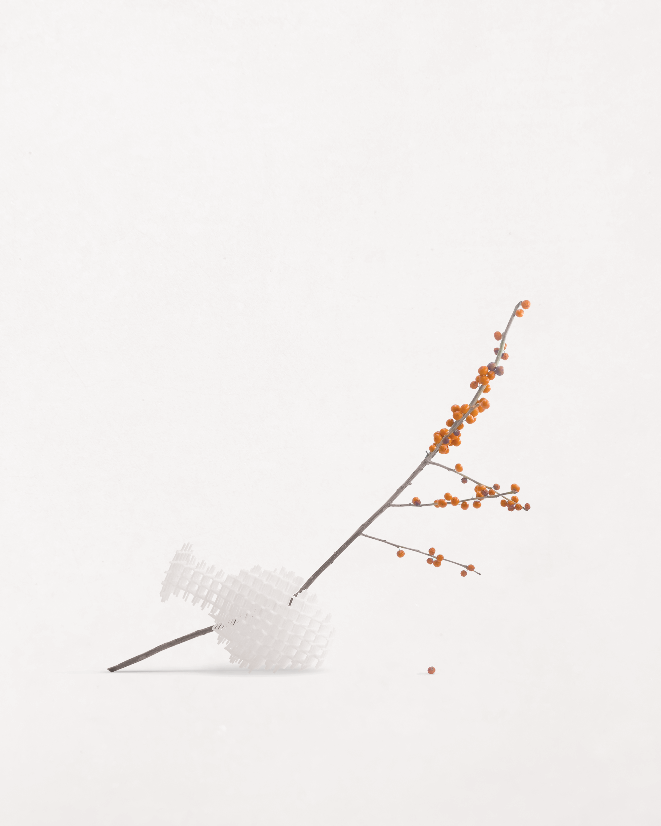 Product_Image_Grid_Vase_5.png