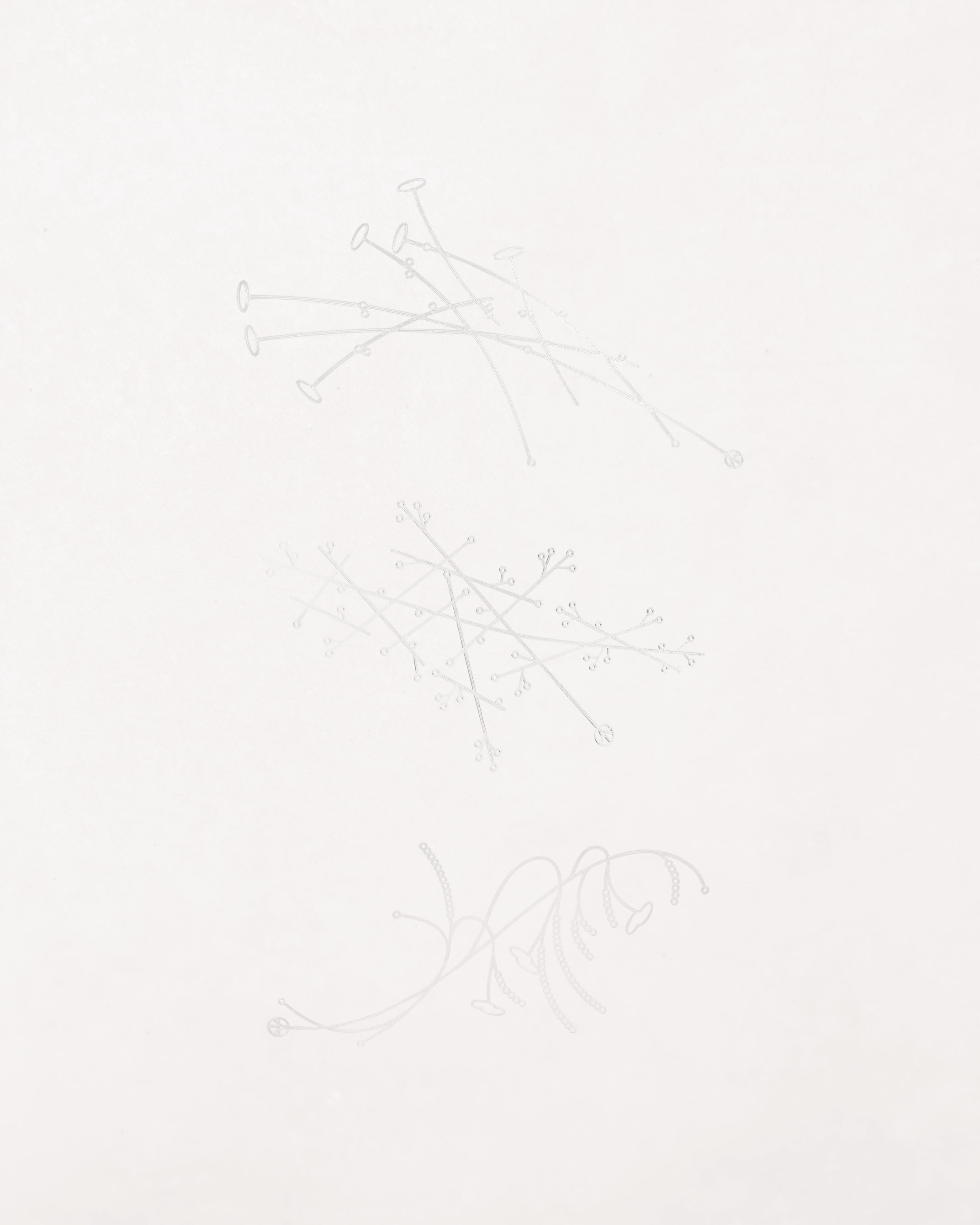 Botanical Sequencing – The Flowers That Never Bloomed – Bookmark Set