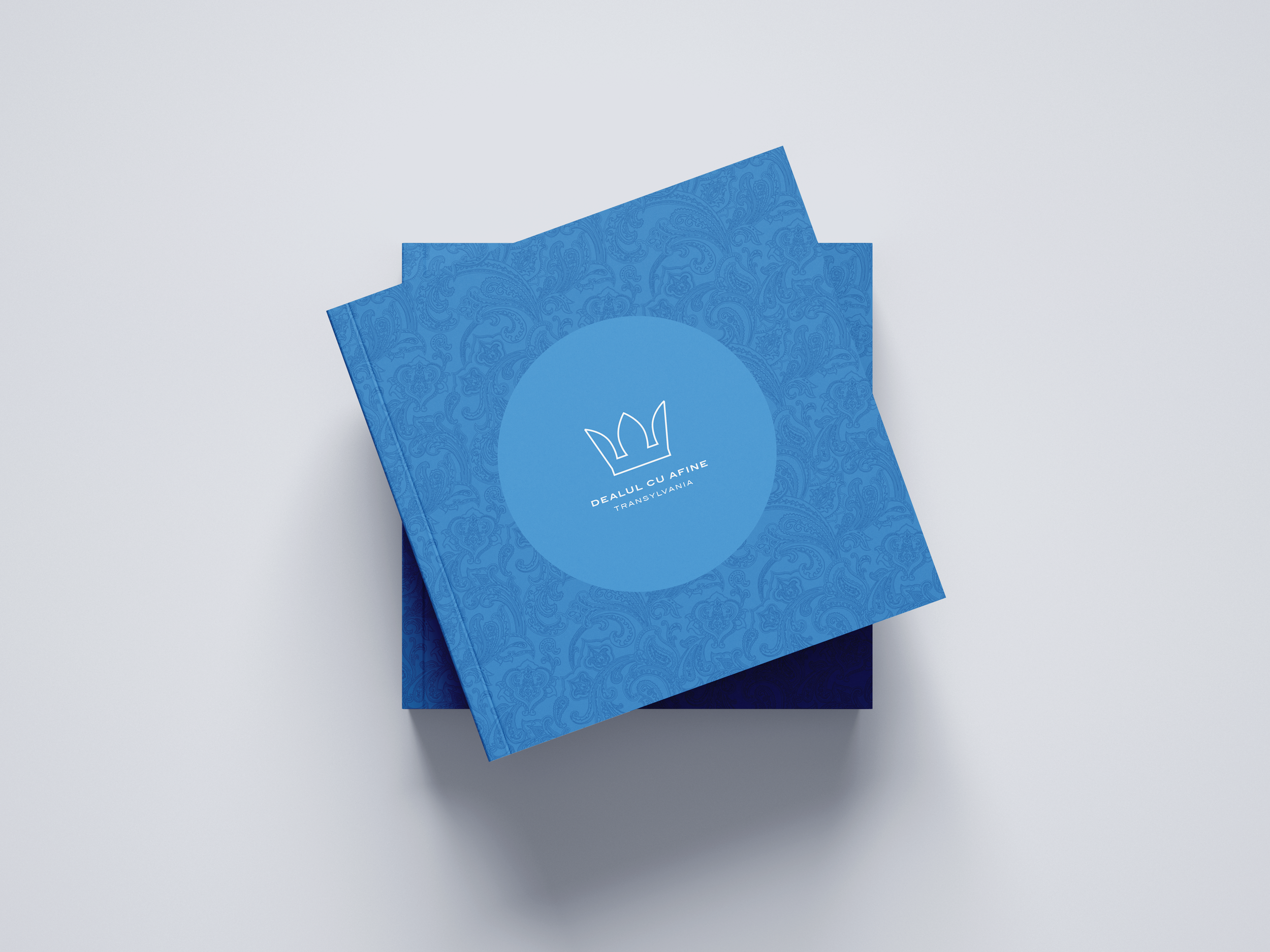 ET_02_COVERSTACKED_Square_PAISLEYBook_Mockup_04_.png