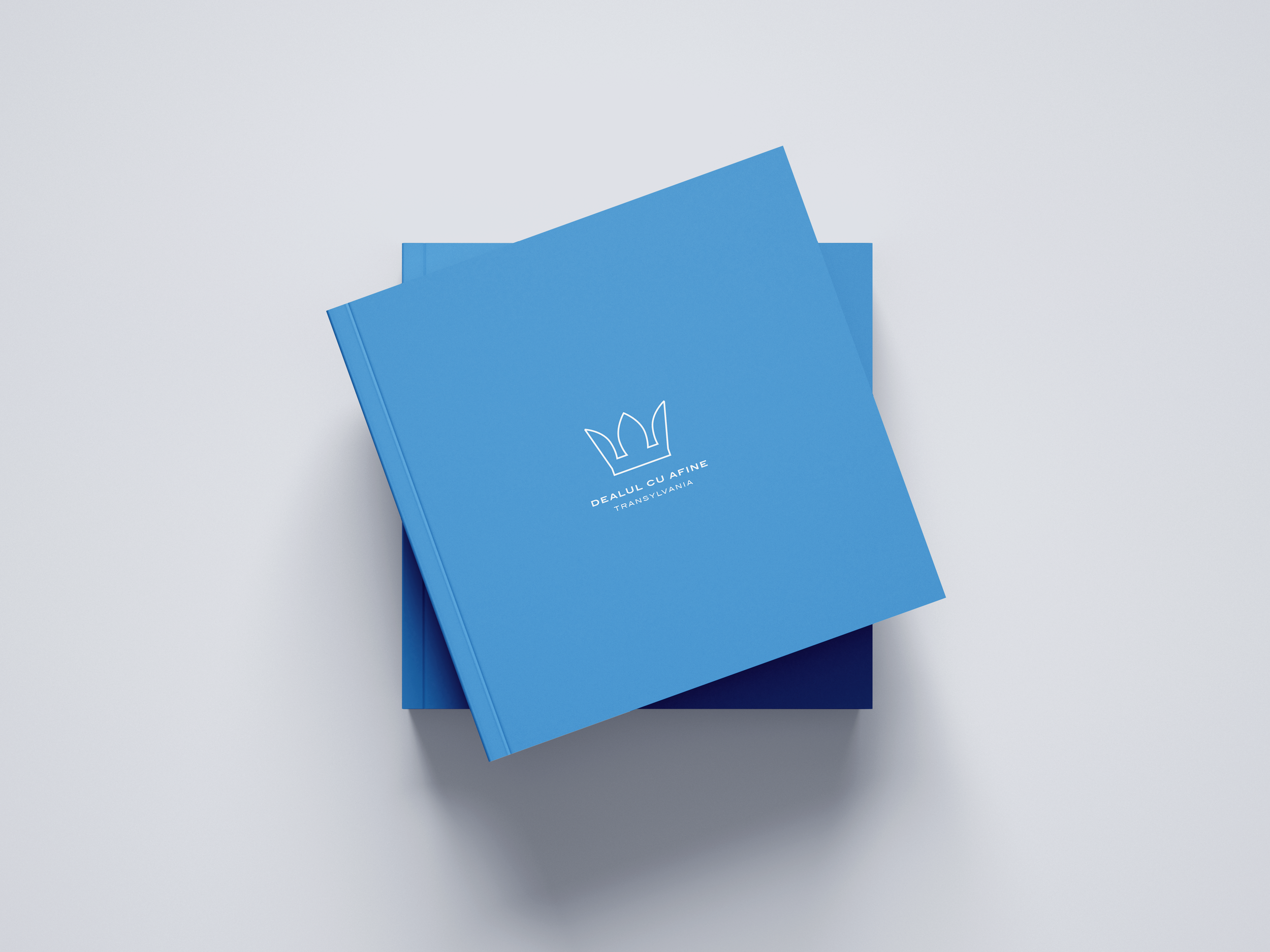 ET_02_COVERSTACKED_SquareBLUE_Book_Mockup_04_.png
