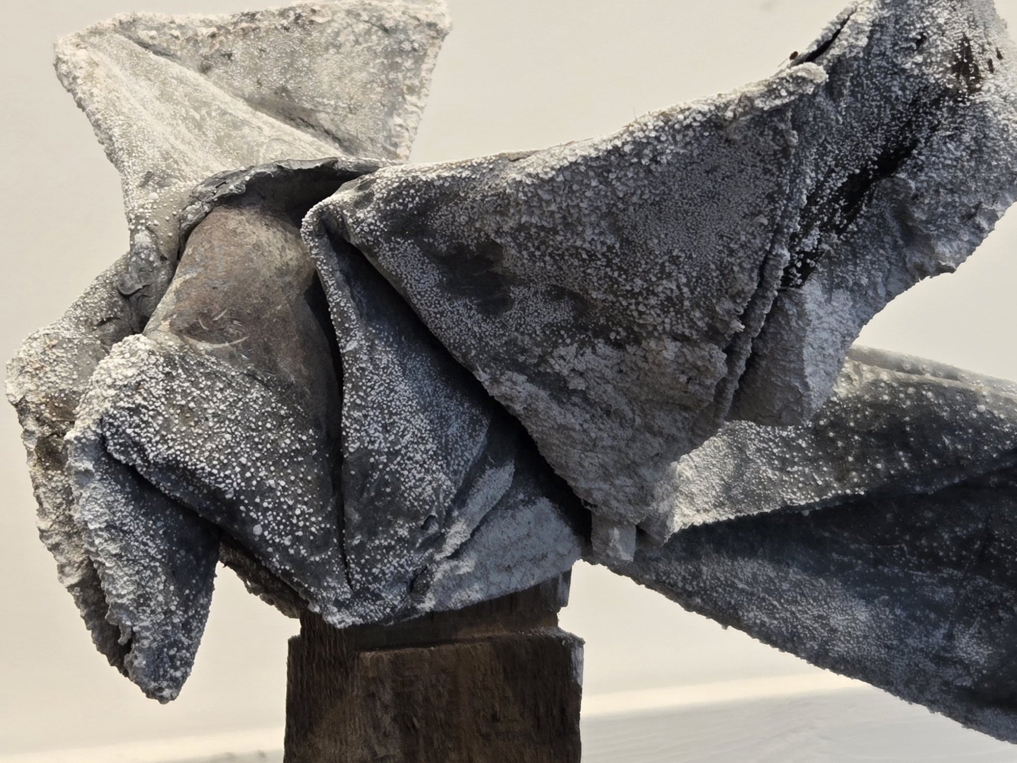 20251028_095815 1.jpg