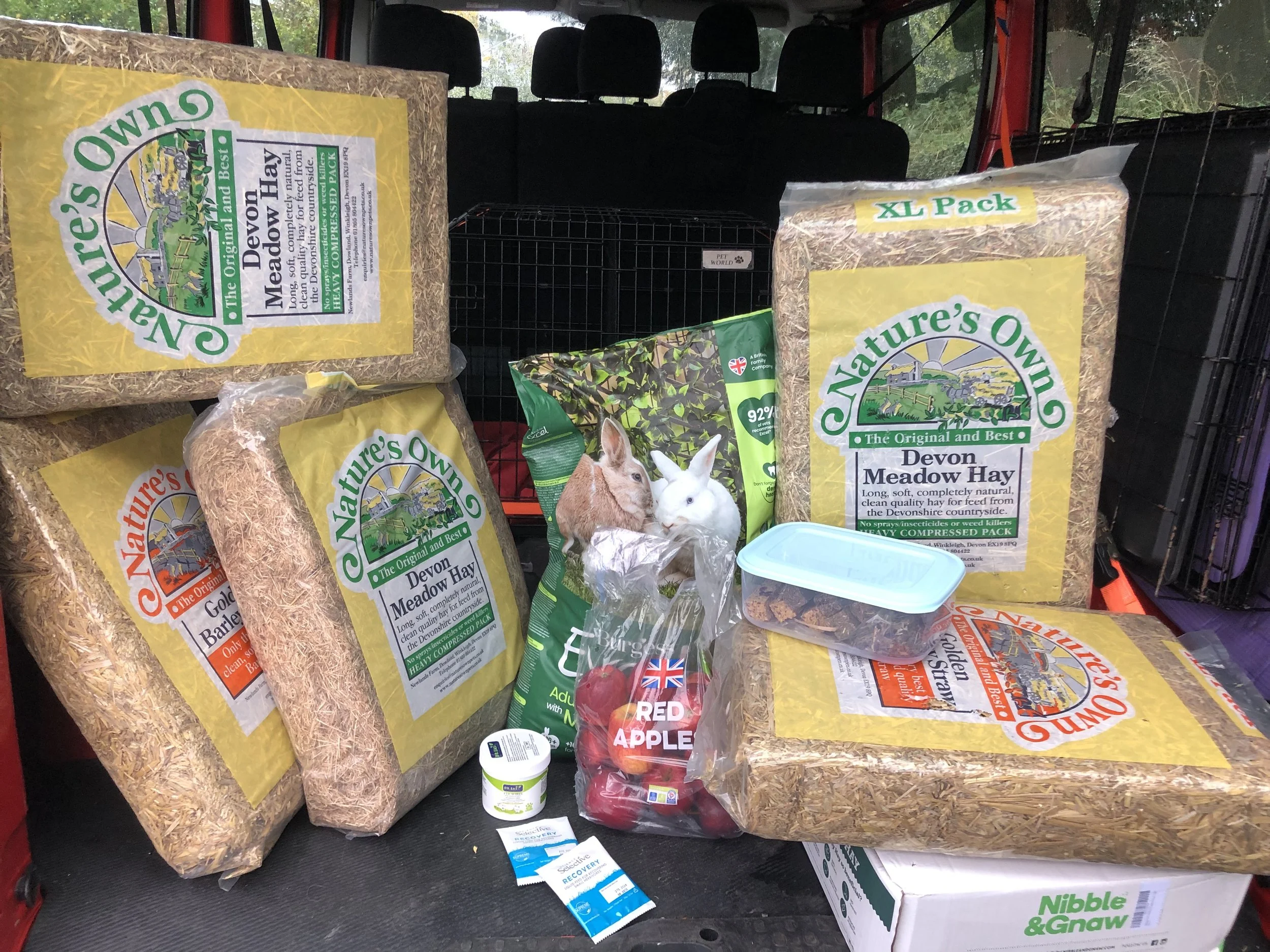 All the Team would like to thank Deborah Morris from Llanidloes fpr this amazing donation of Rabbit items, thank you so much