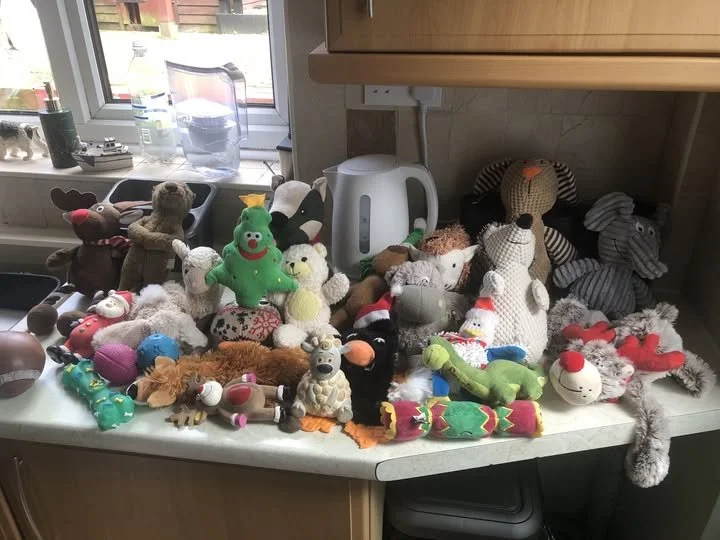 All the Team would like to thank Ken Humpphreys for a wonderful donation of pet toys,