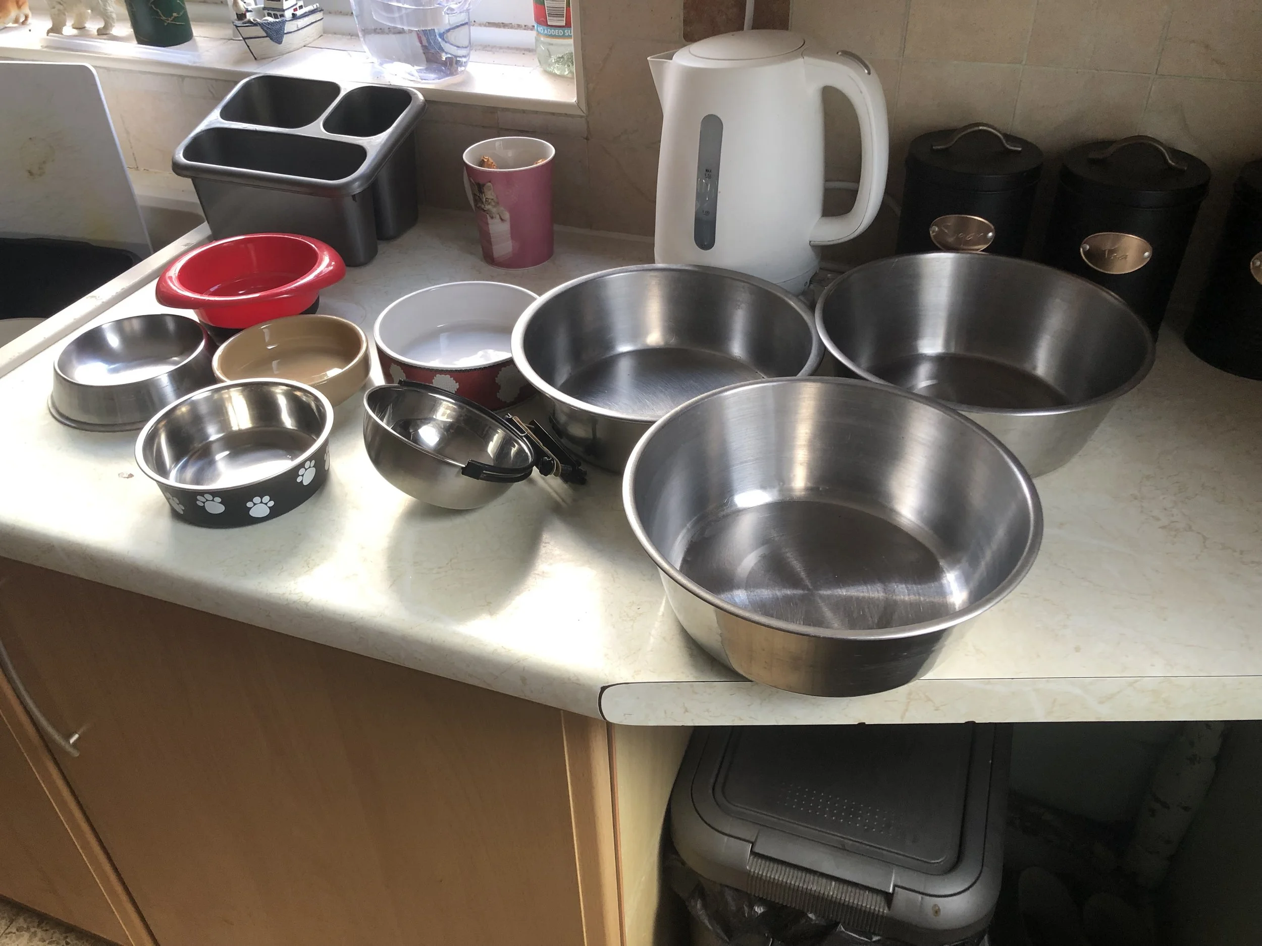 All the Team would like to thank Jim & Sue Mc Kinley from llandrindod for this amazing donation of Dog items, thank you so much