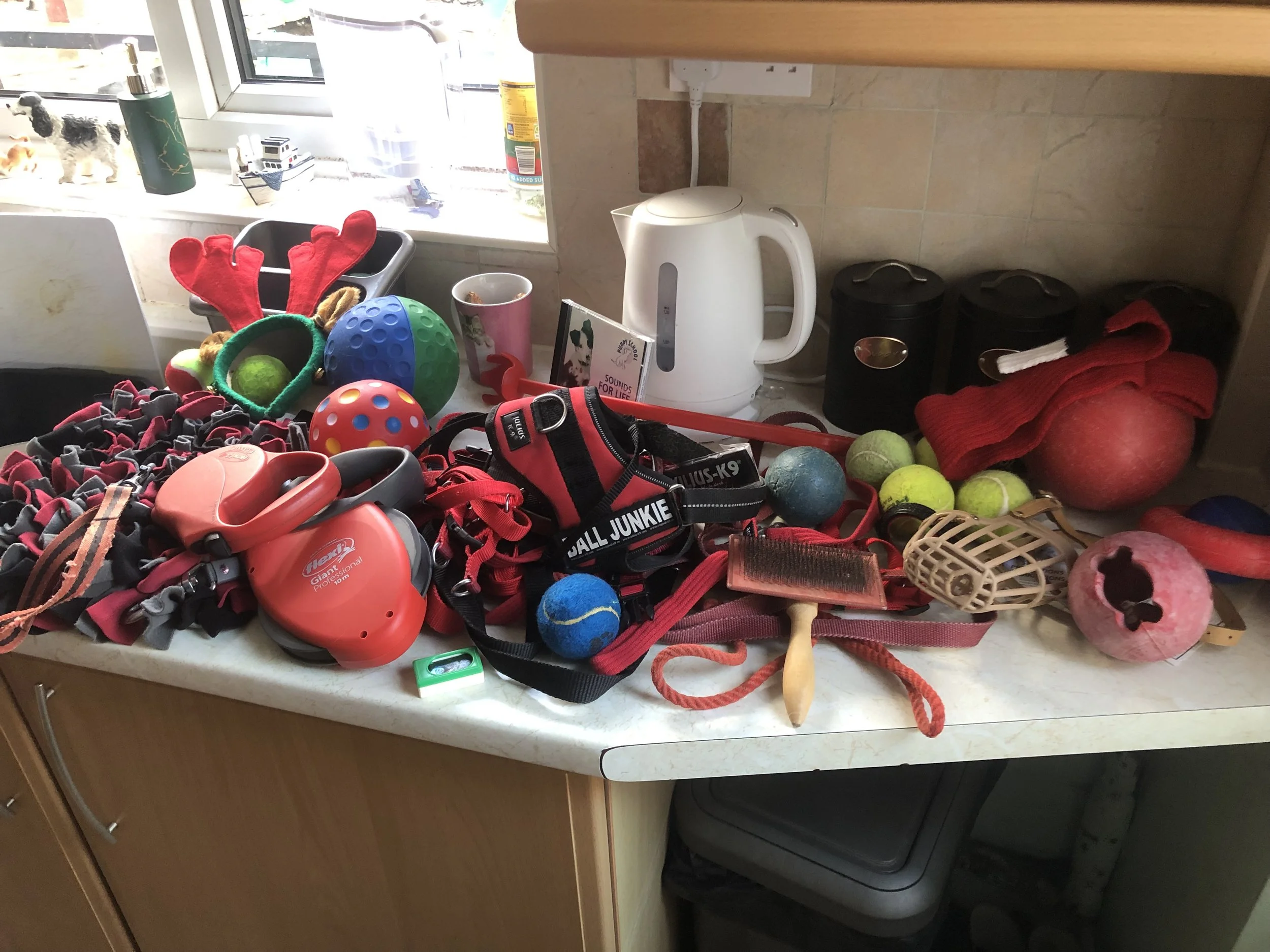 All the Team would like to thank Jim & Sue Mc Kinley from llandrindod for this amazing donation of Dog items, thank you so much