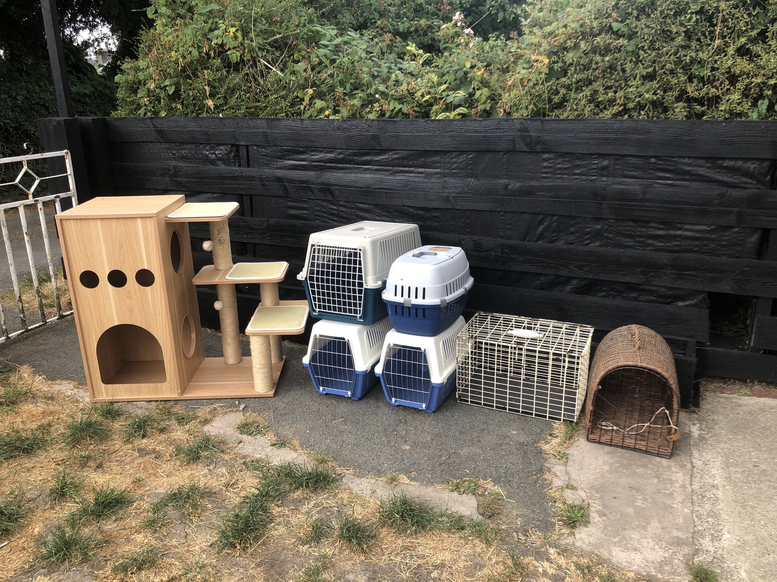 All the Team would like to thank a private donor for these wonderful donations of frozen Cat food for us to donate to Families struggling with pet food and cat boxes for us to sell to raise funds for Powys Pets In Need at our big boot sale next Sunda