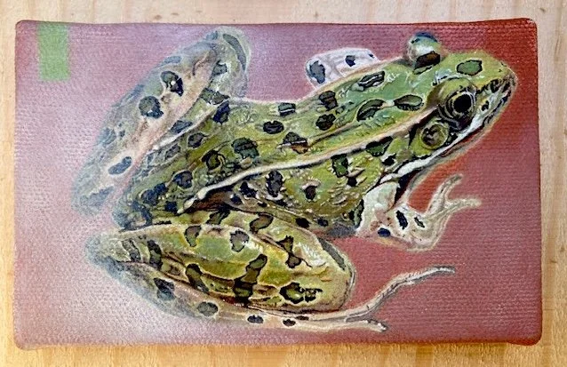 frog, oil on canvas, 3_ x 5,_ 2006.jpg