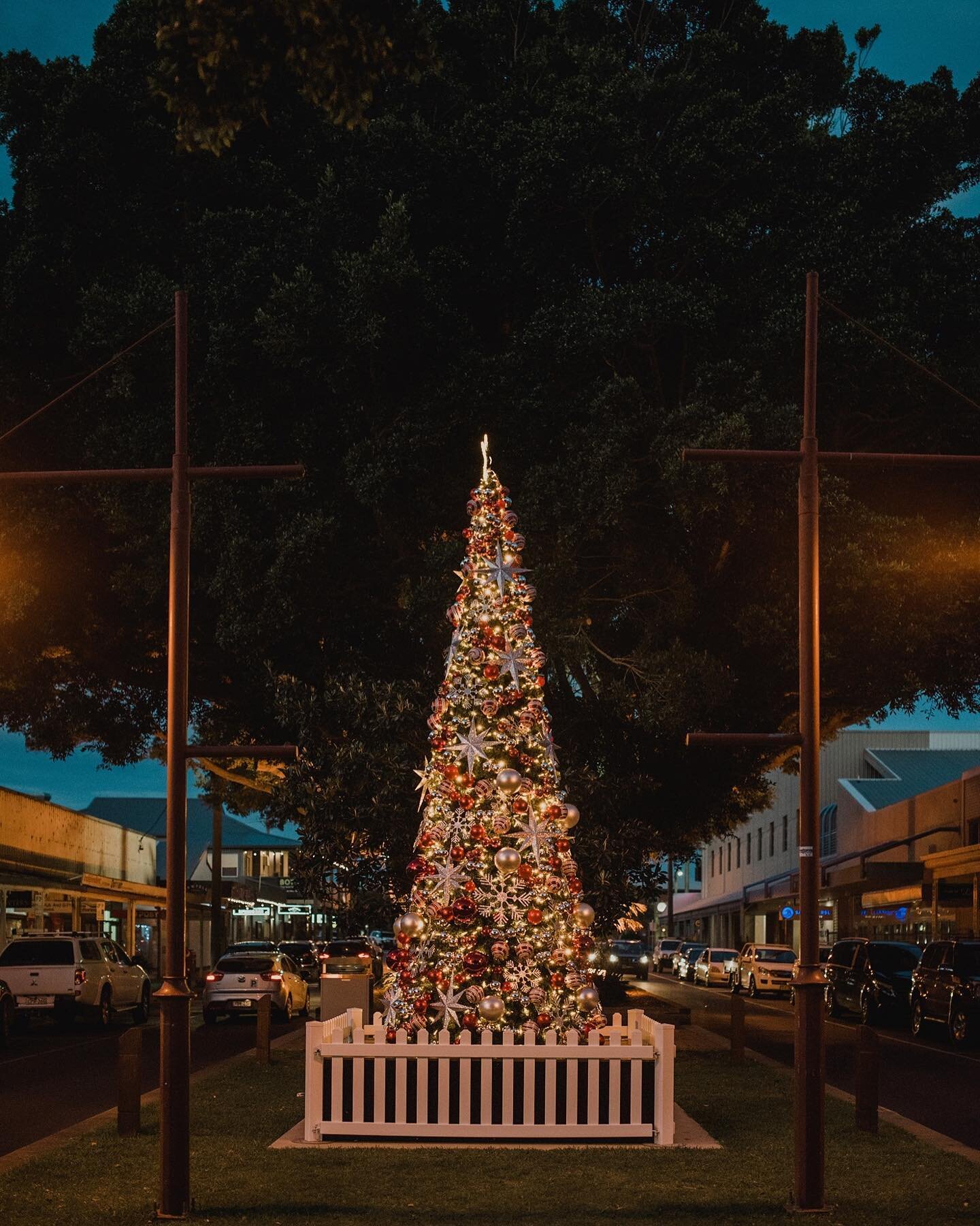 We are already feeling festive on First Ave &amp; there&rsquo;s nothing like a ginormous Christmas tree to help you feel it too. Christmas is coming, 2452!! &hellip; #christmas2021 #supportlocal #eatdrinkcoffscoast #sawtellcafe