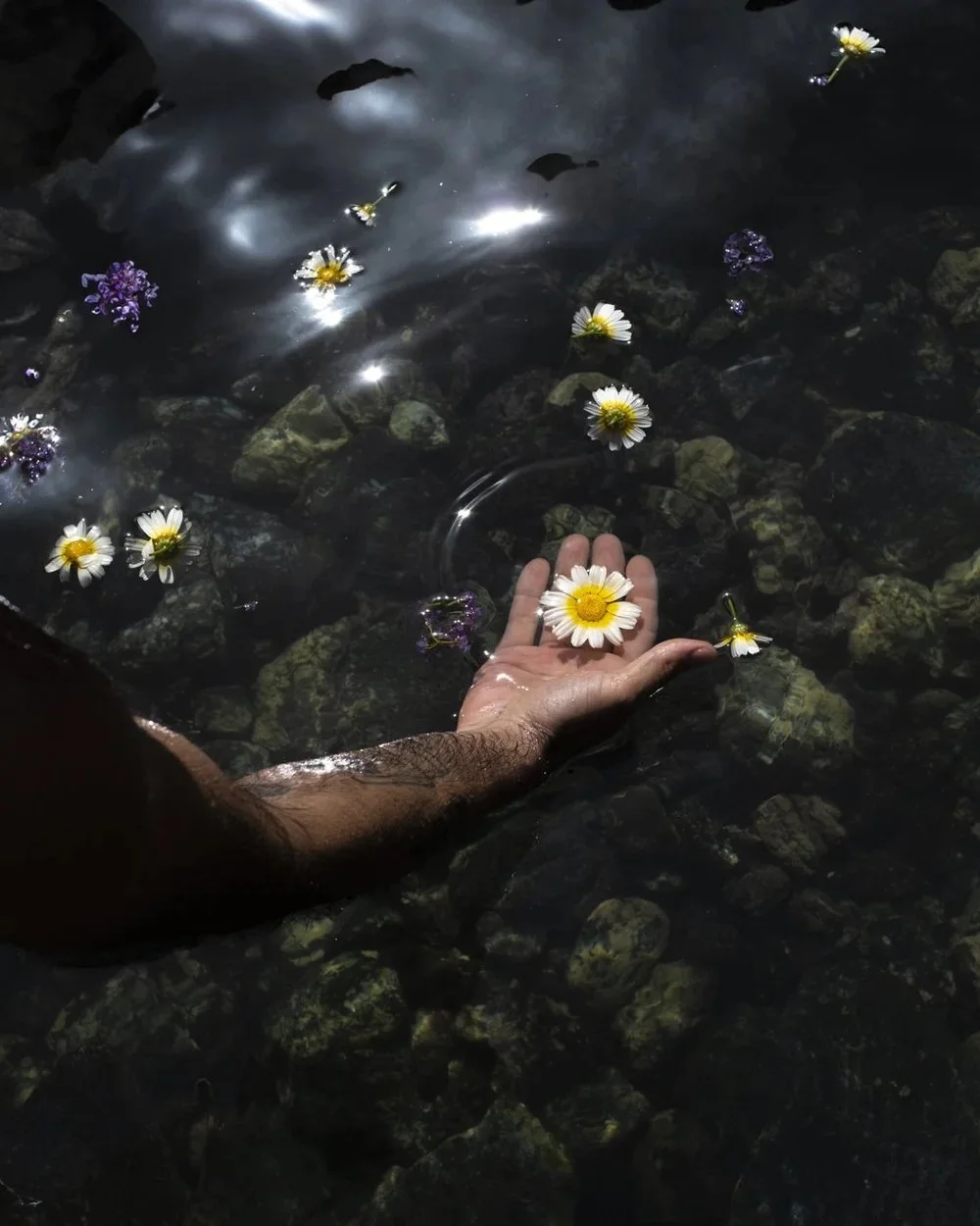 Yves - A queer guide