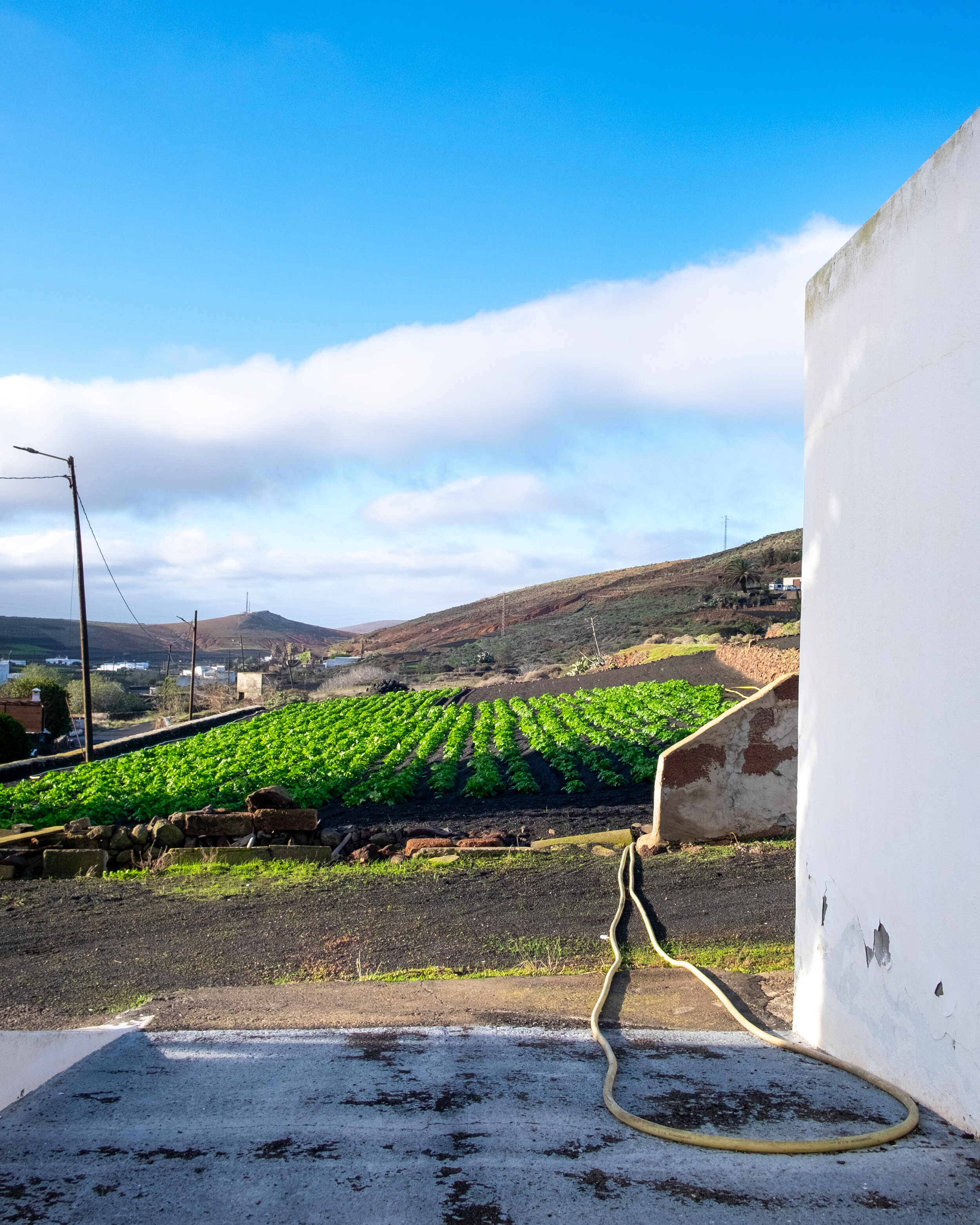 Hektor_Lanzarote_farmland_B.jpg