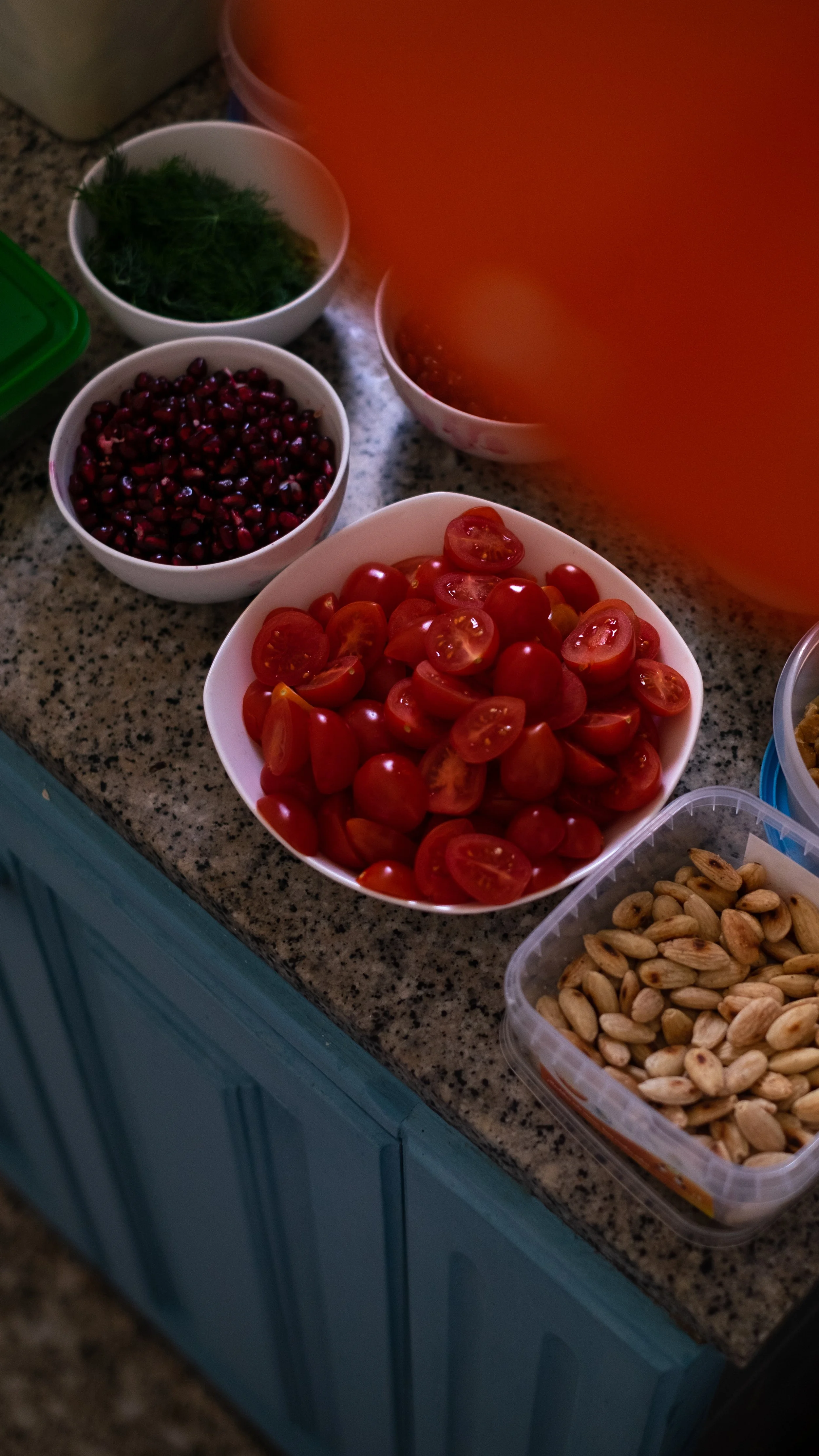 HEKTOR_ARBOL-4.jpg