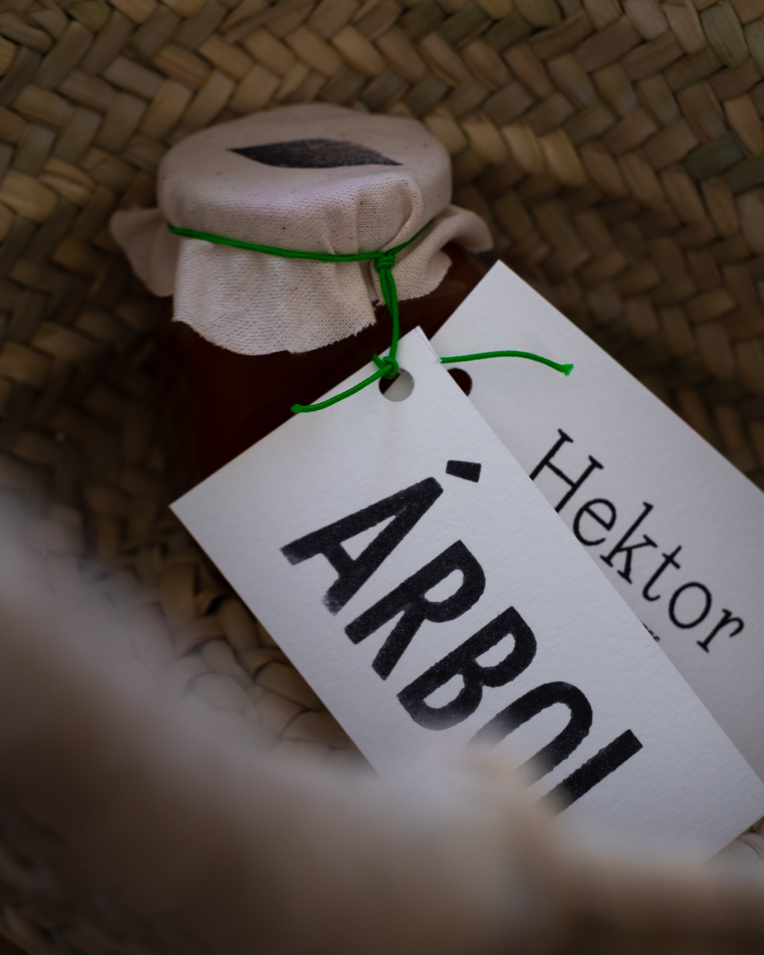 HEKTOR_ARBOL-61.jpg