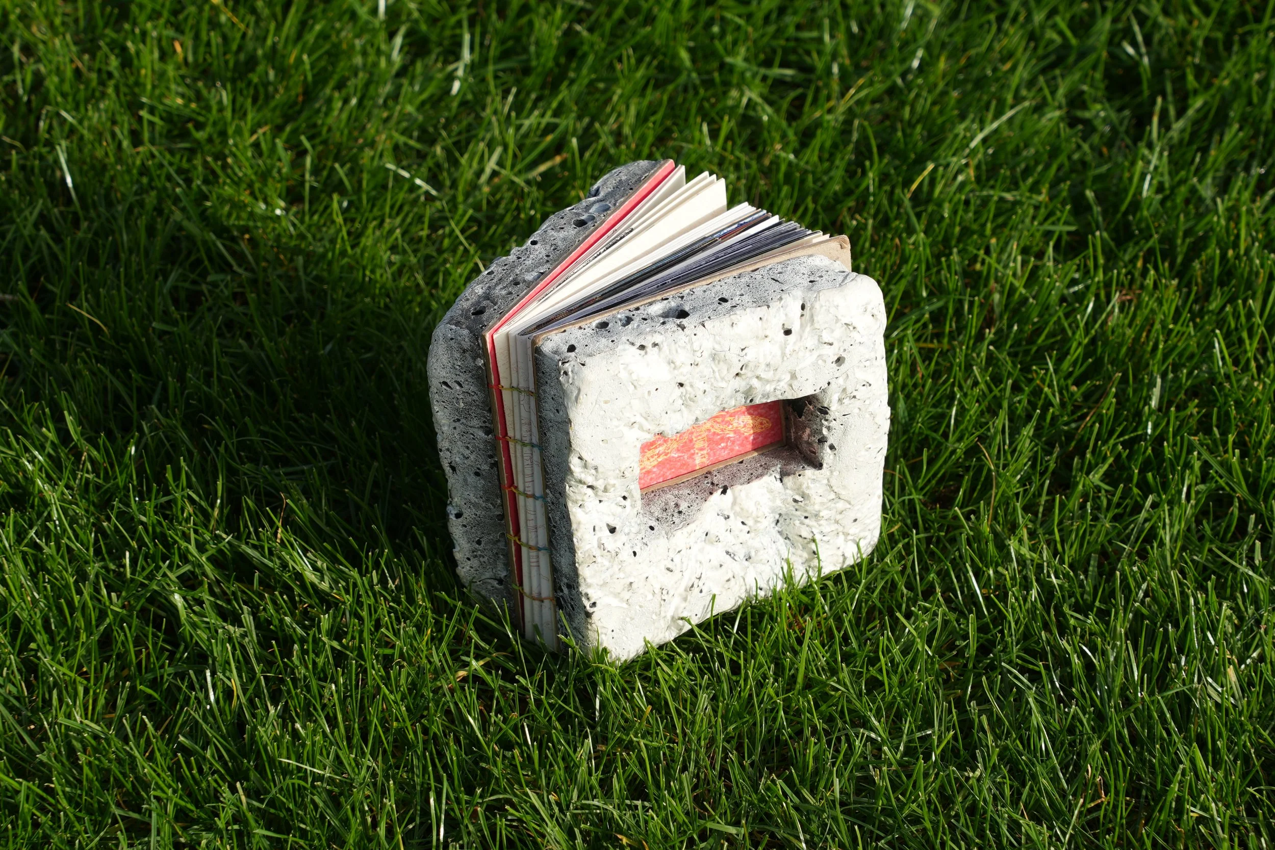 ECHO (Artistbook version).JPG