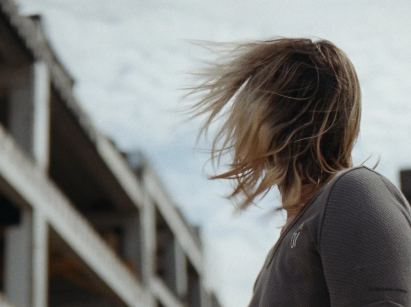 Hektor Line Pillet 2.jpg