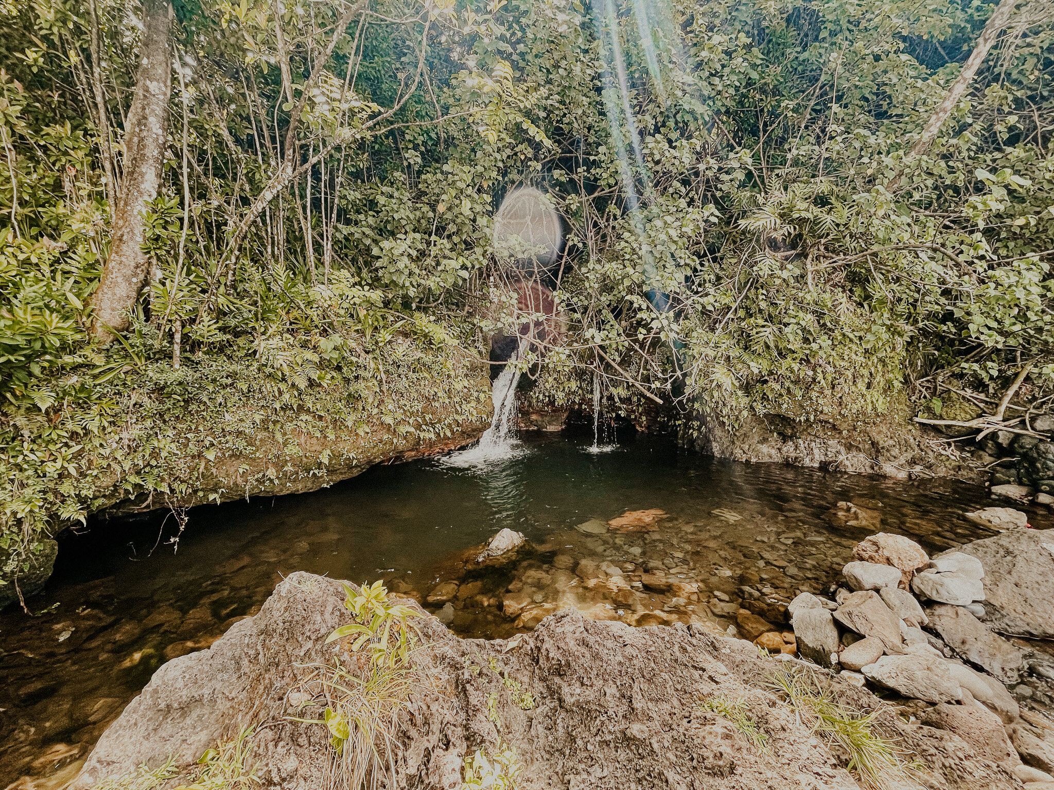 Hidden waterfall and swimming hole in Nahiku