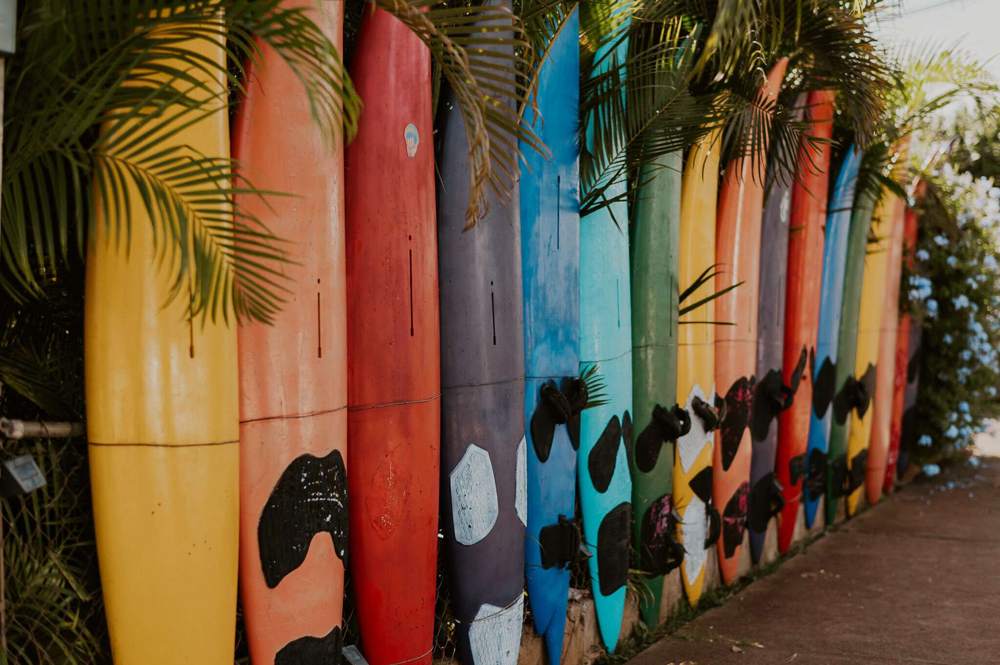 The coolest surfboard fence ever!