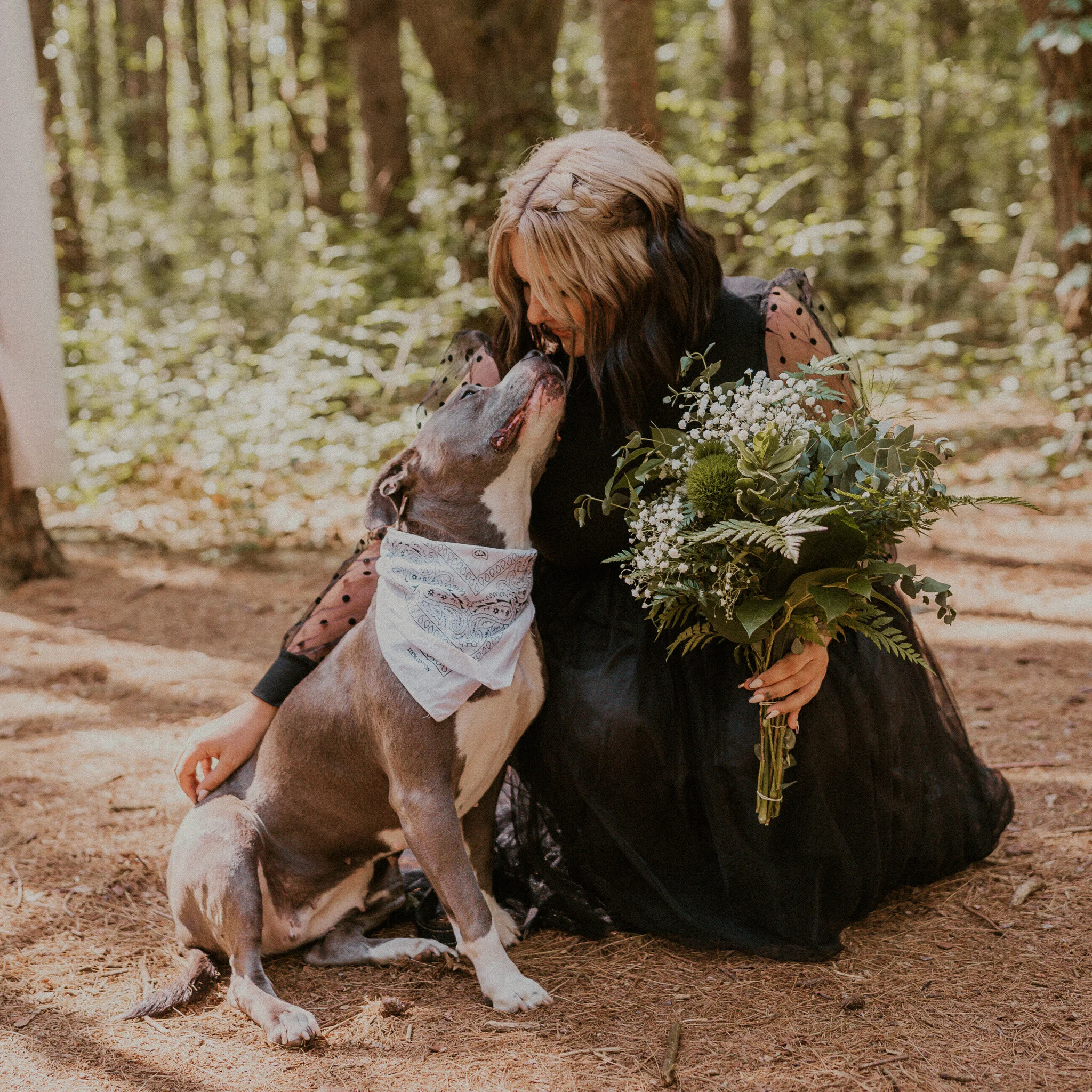 michigan forest elopement