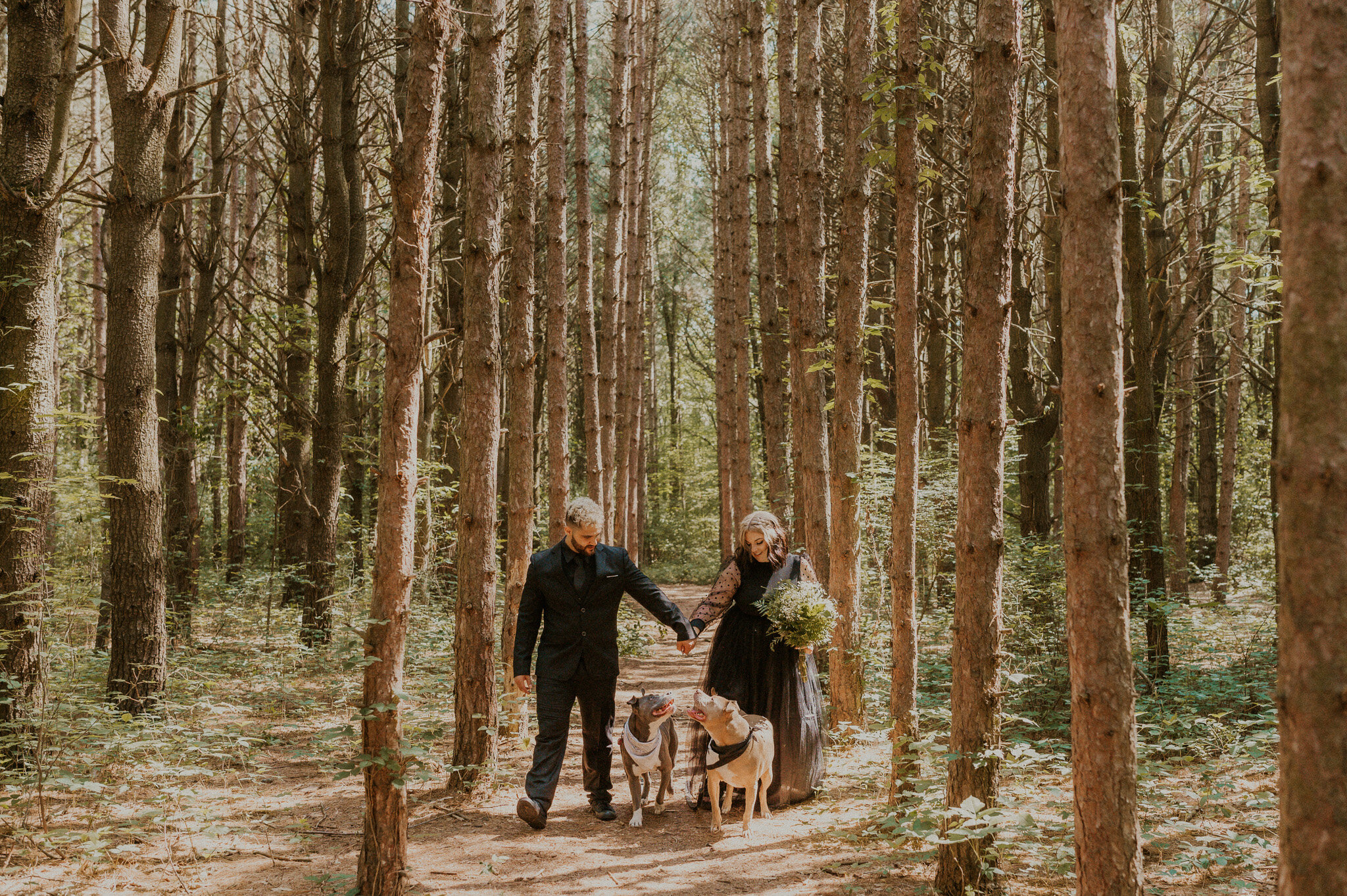 michigan forest elopement with dogs