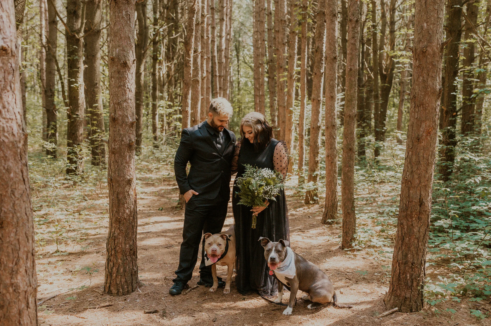 michigan forest elopement with dogs