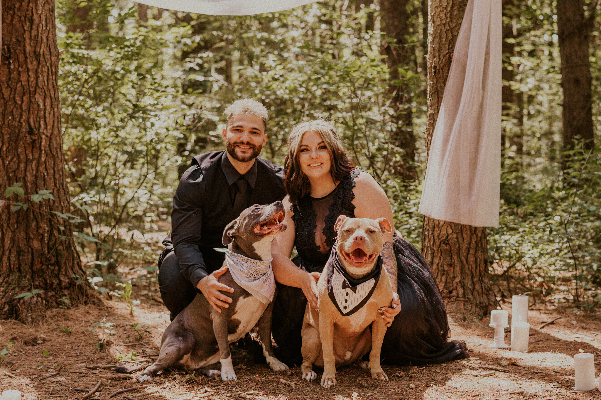 michigan forest elopement with dogs