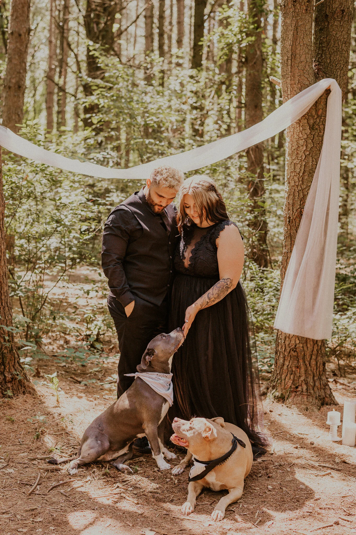 michigan forest elopement with dogs